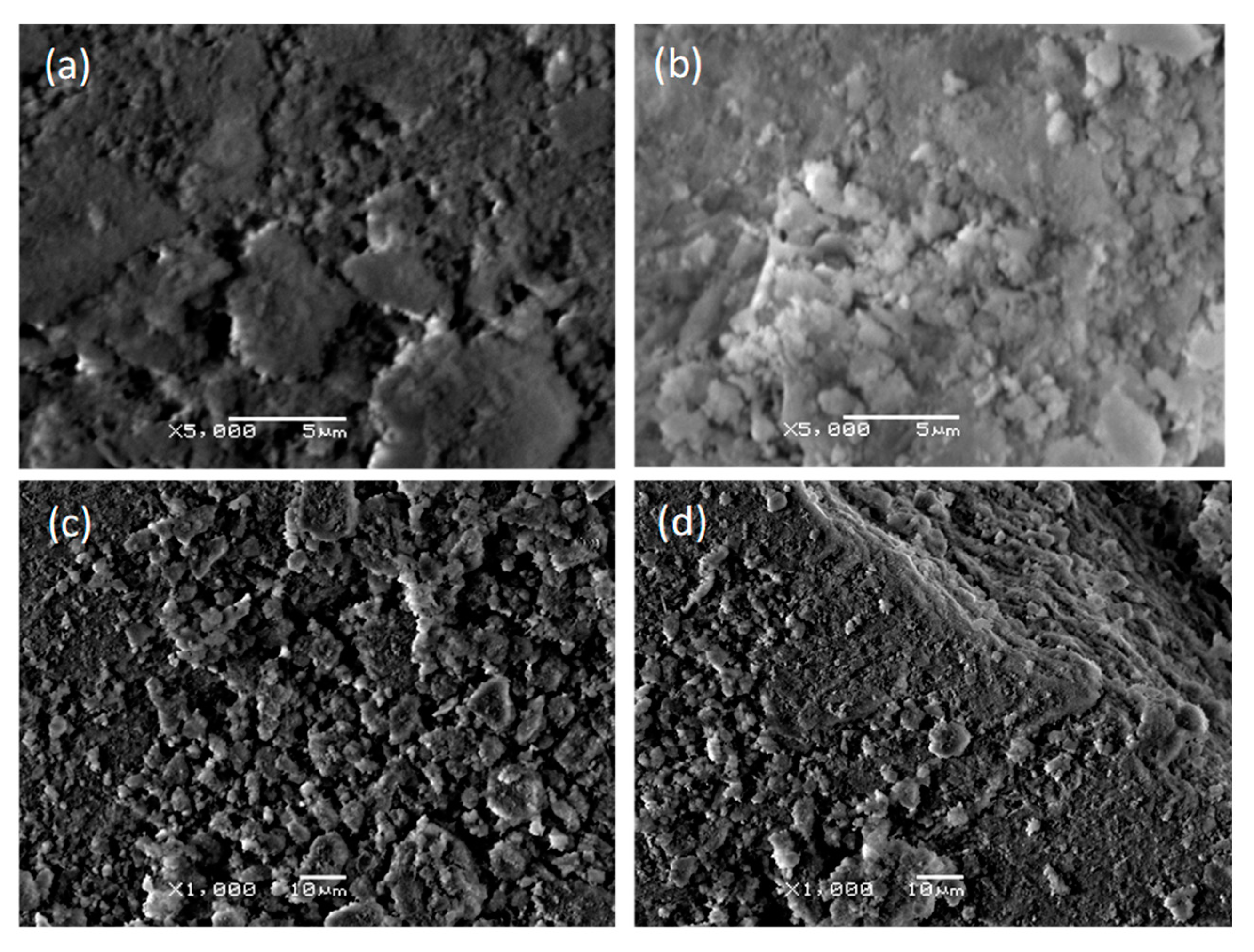 Coatings 10 00880 g004 Coatings 10 00880 g004