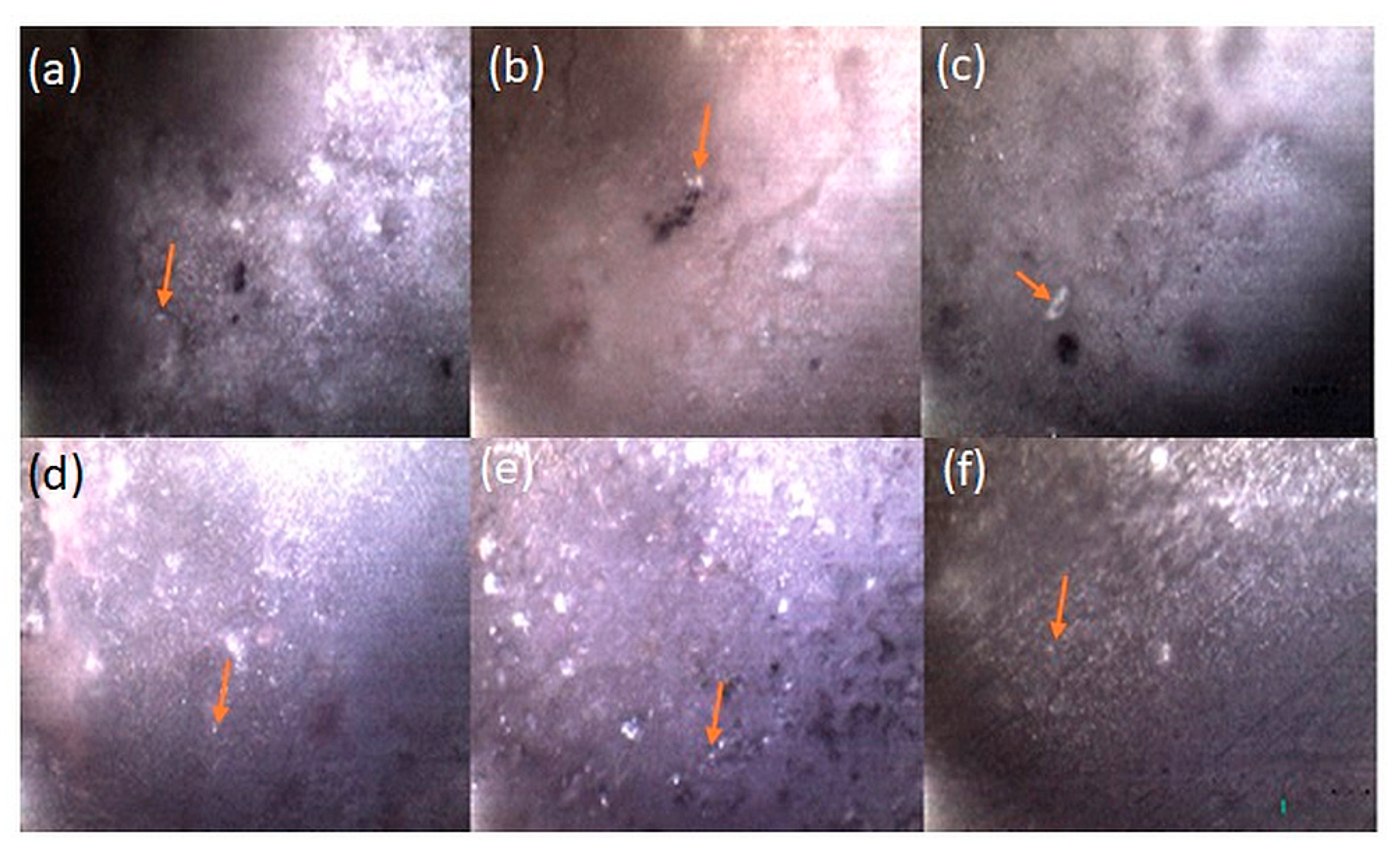 Coatings 10 00880 g005 Coatings 10 00880 g005