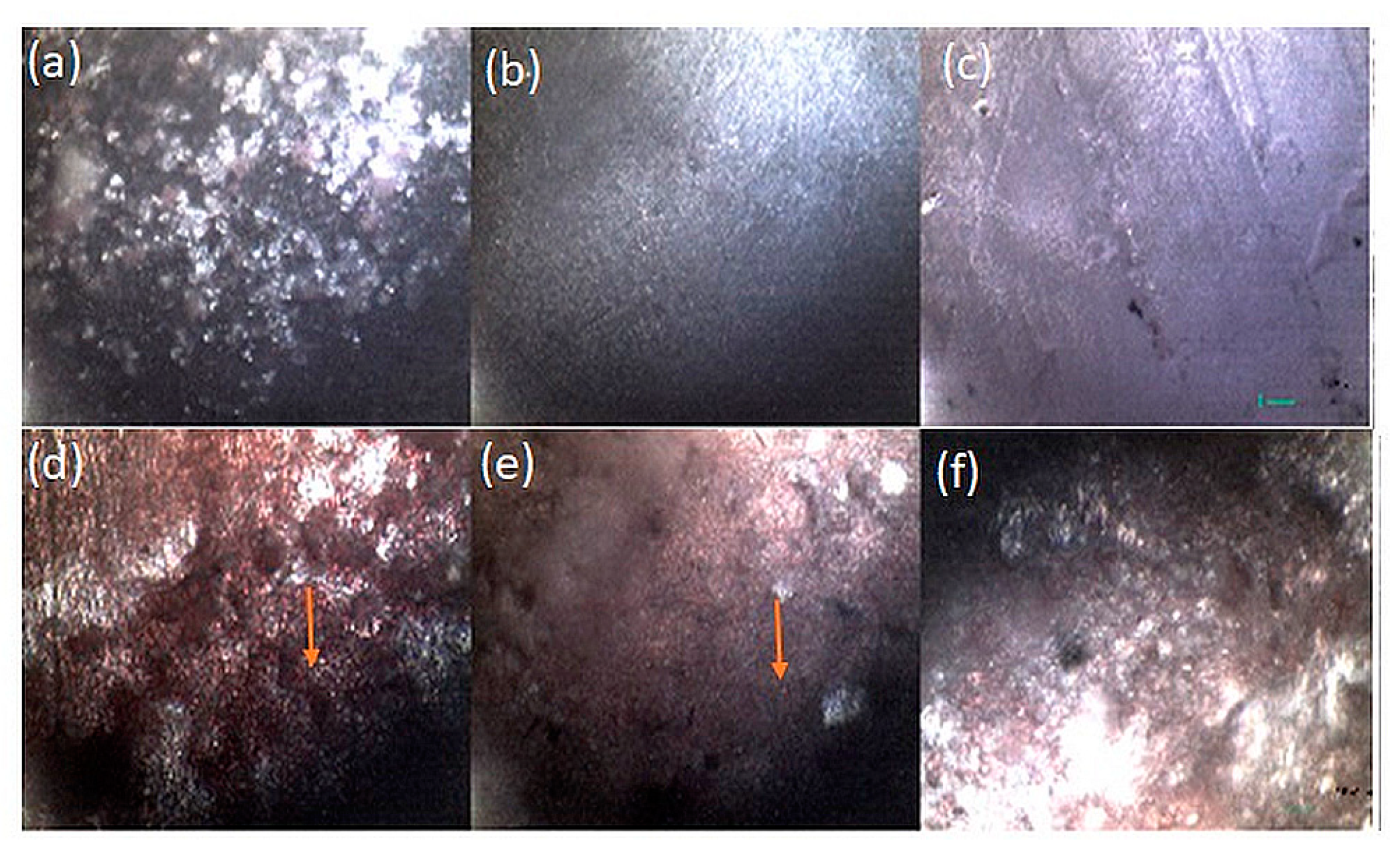 Coatings 10 00880 g007 Coatings 10 00880 g007