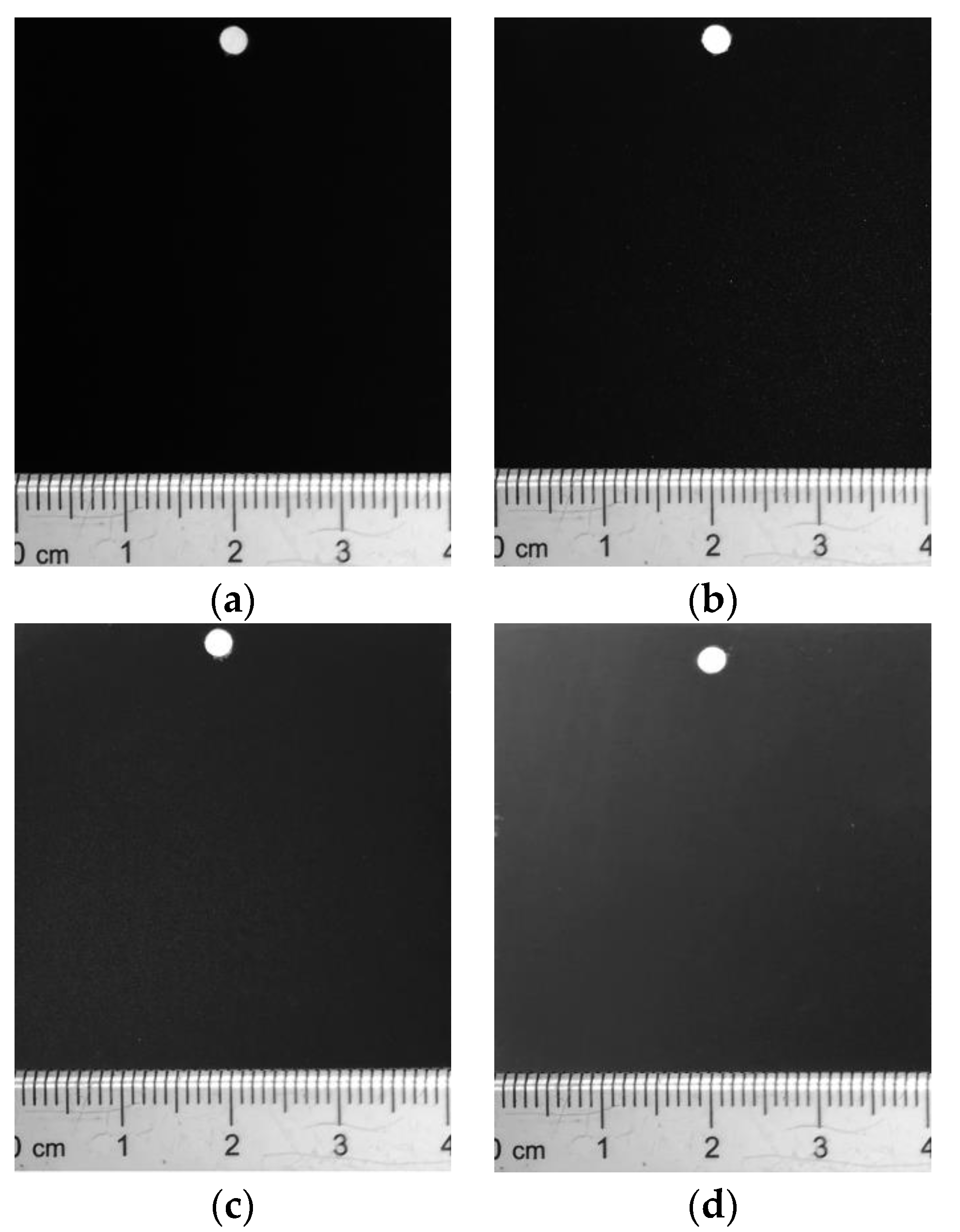 Coatings 10 00890 g001