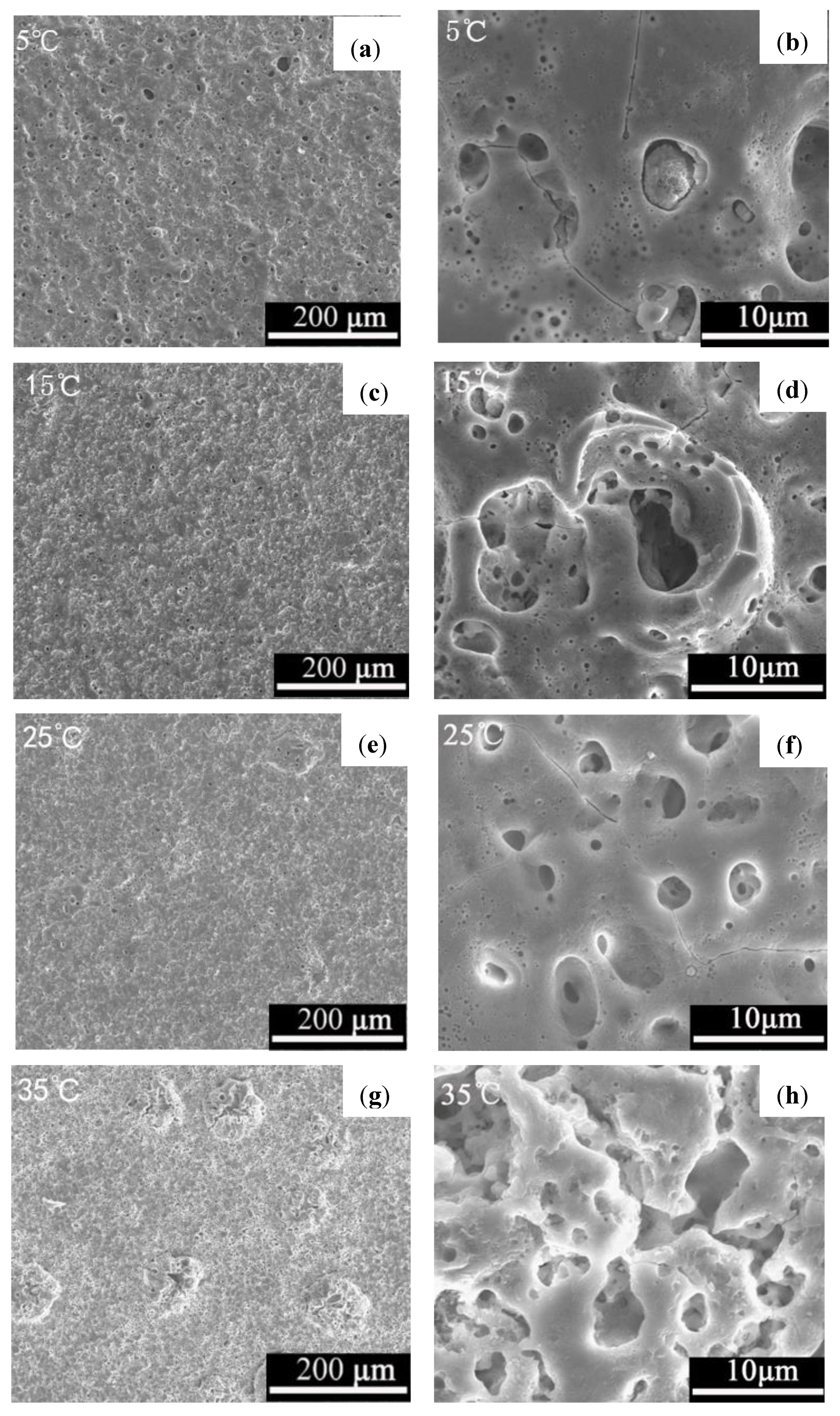 Coatings 10 00890 g005