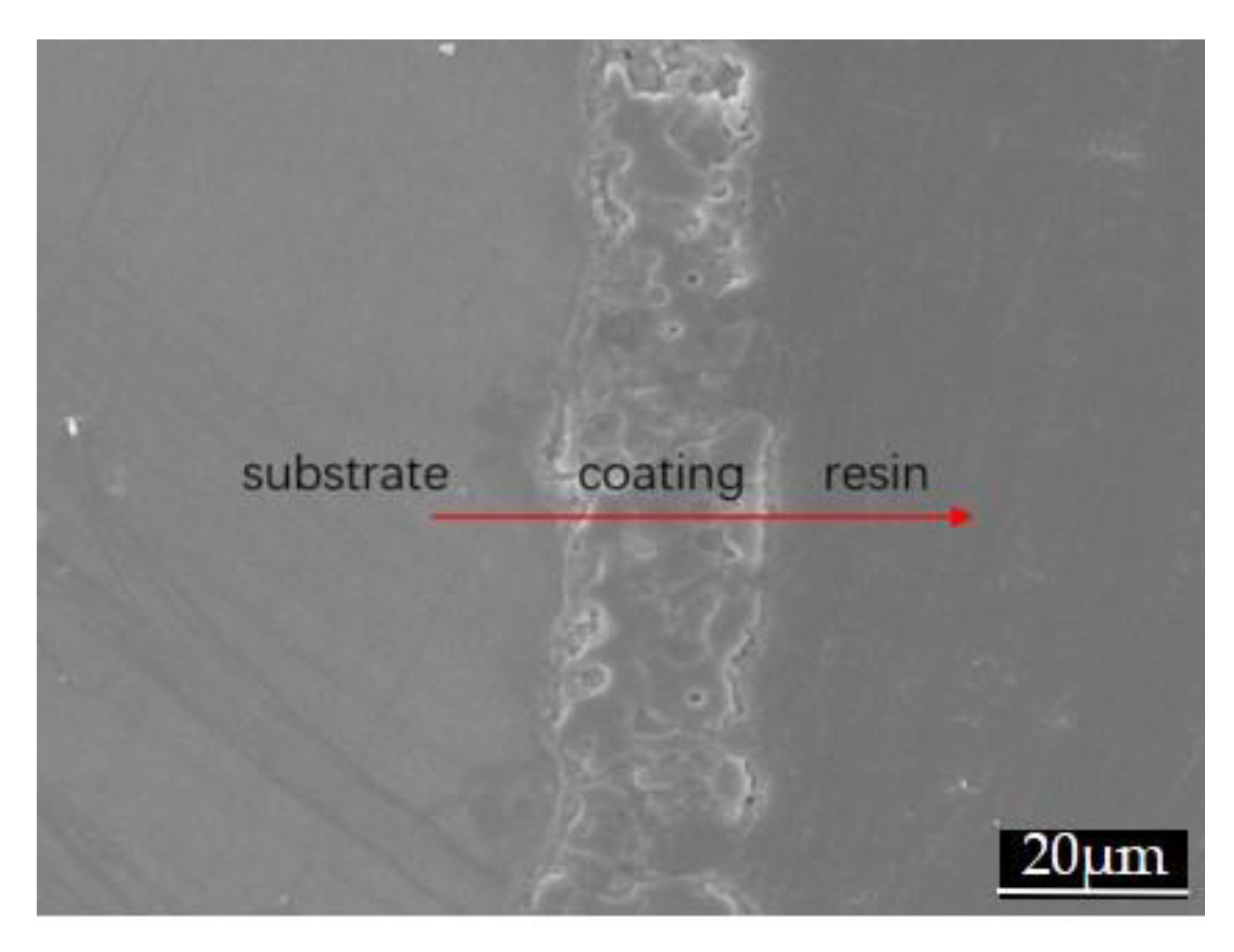 Coatings 10 00890 g007