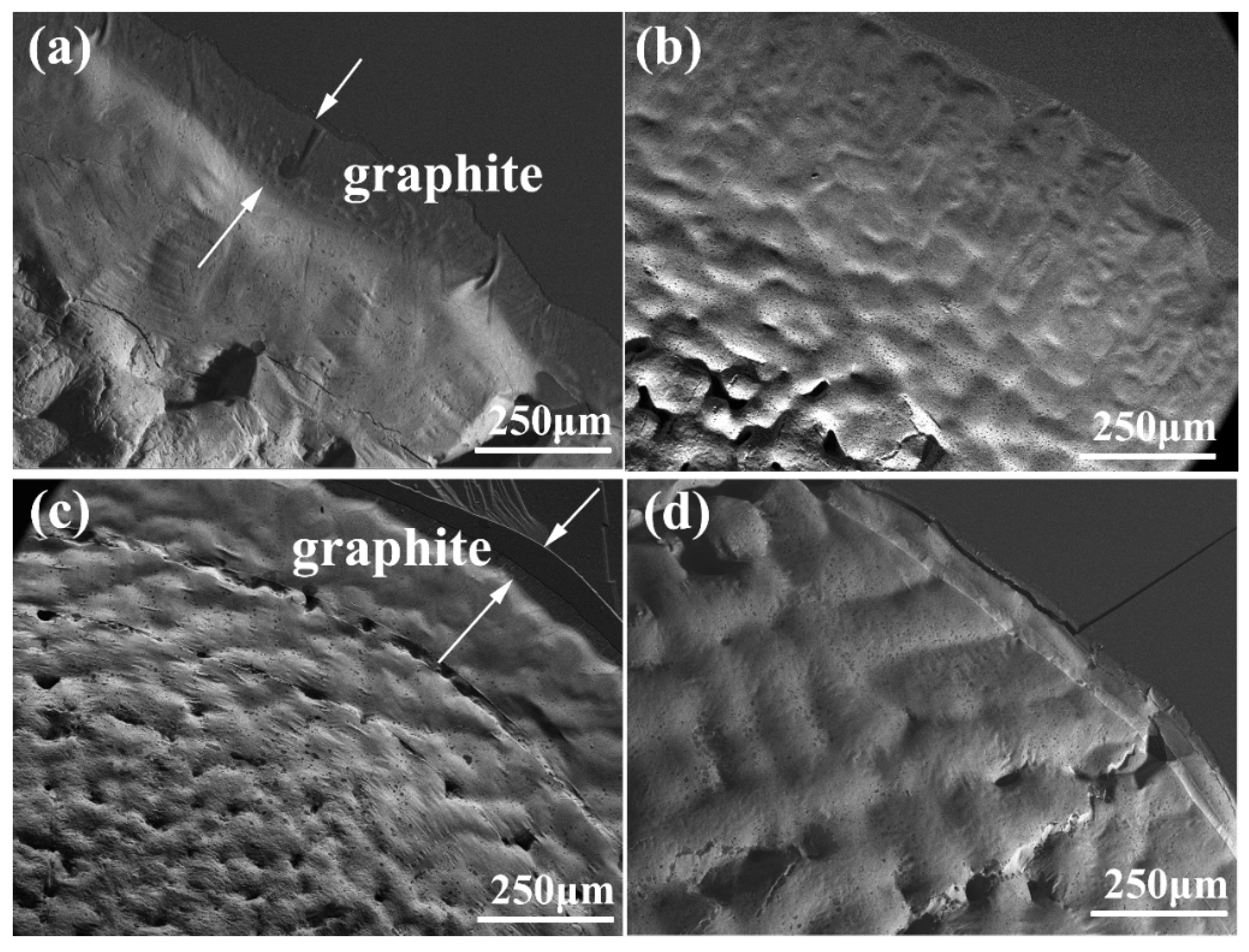 Coatings 10 00906 g004 Coatings 10 00906 g004