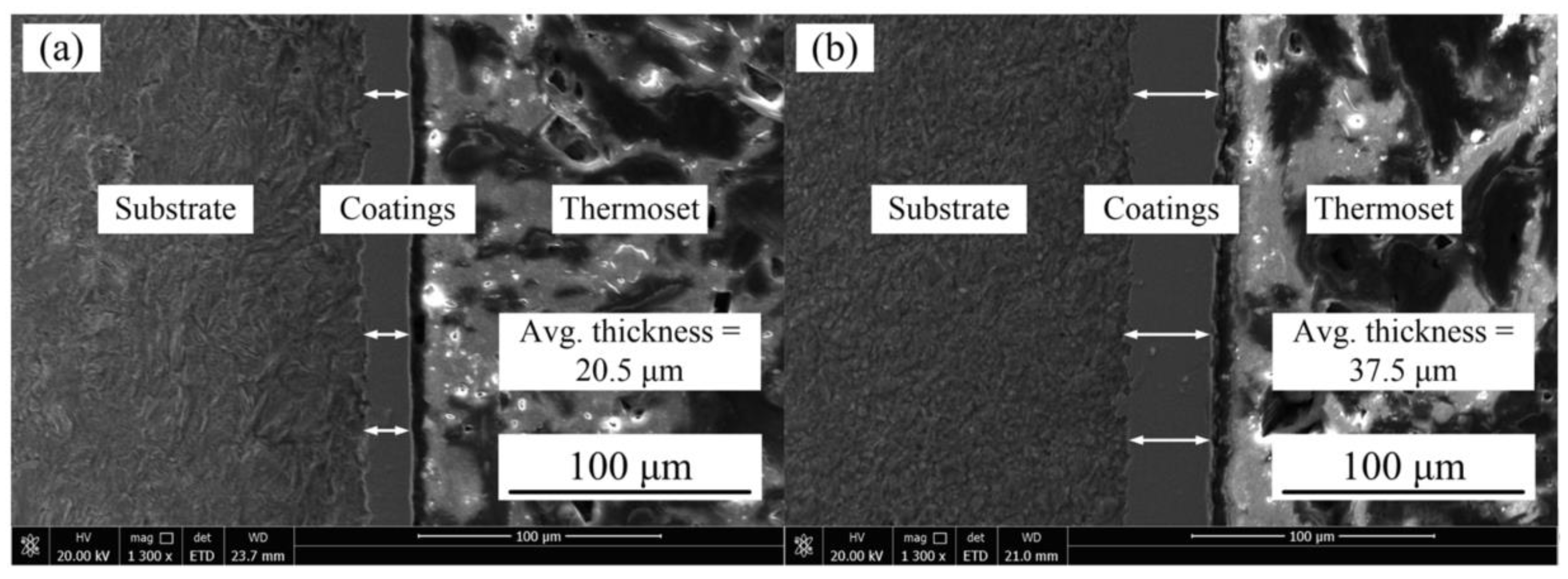 Coatings 10 00924 g003 Coatings 10 00924 g003