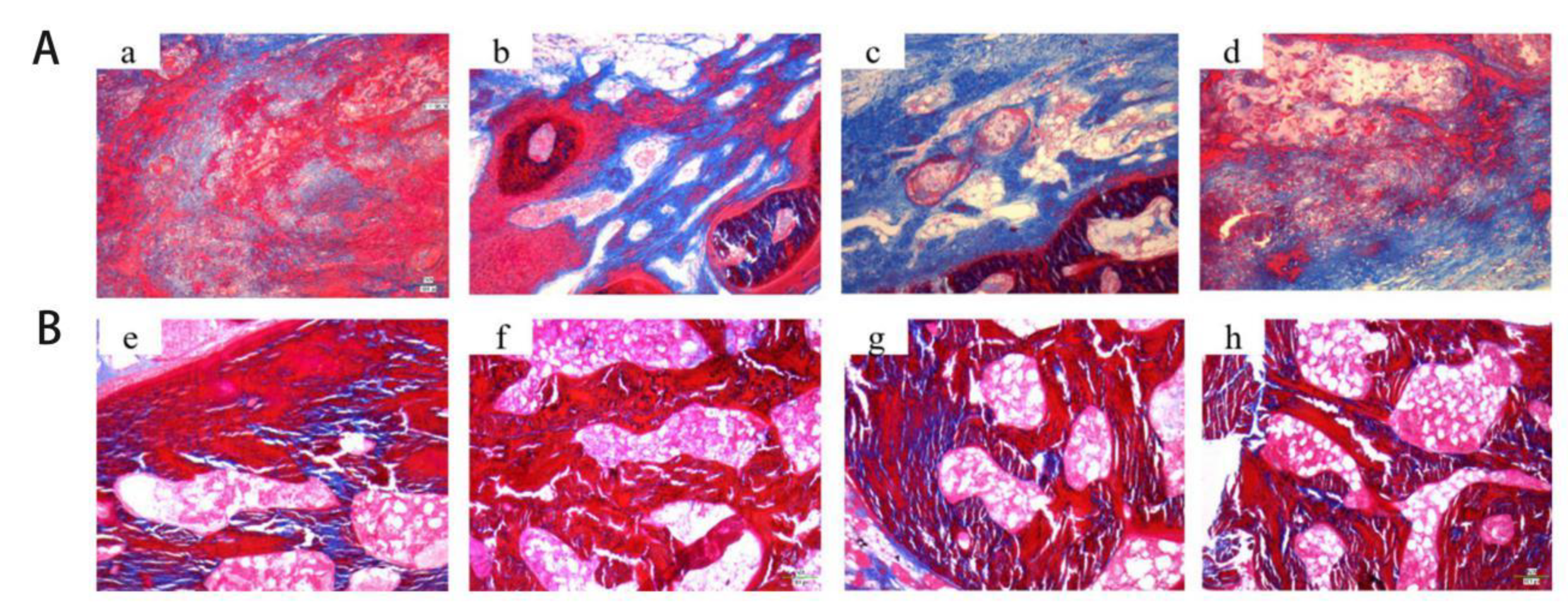 Coatings 10 00948 g009