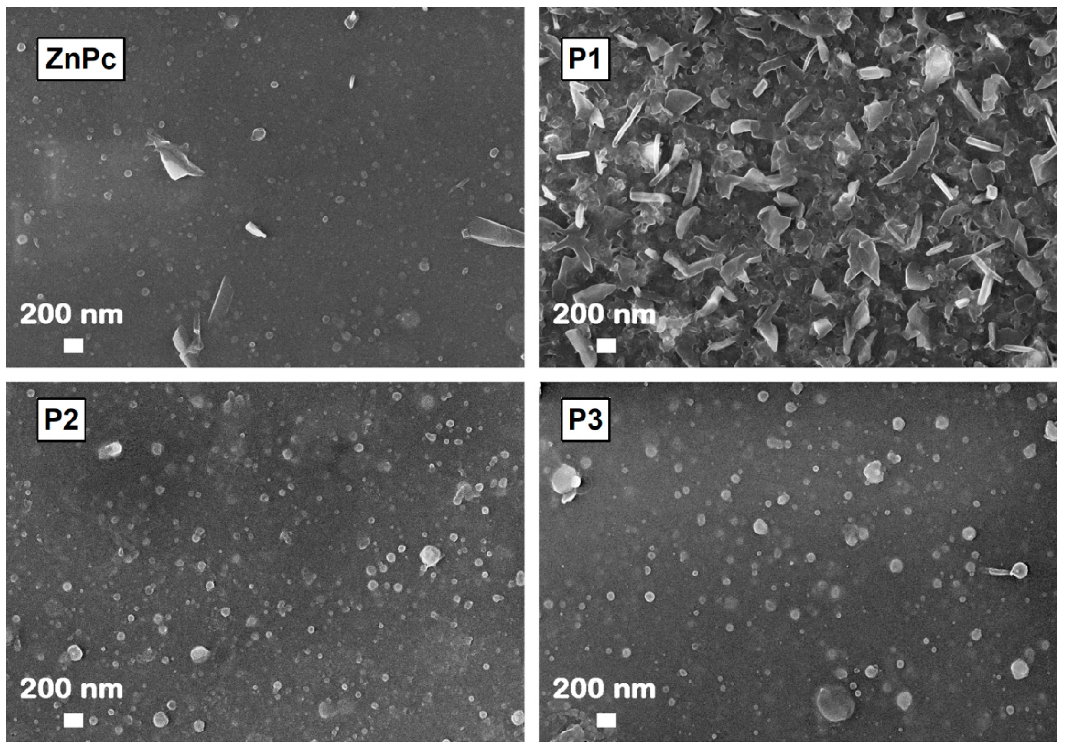 Coatings 10 00956 g004