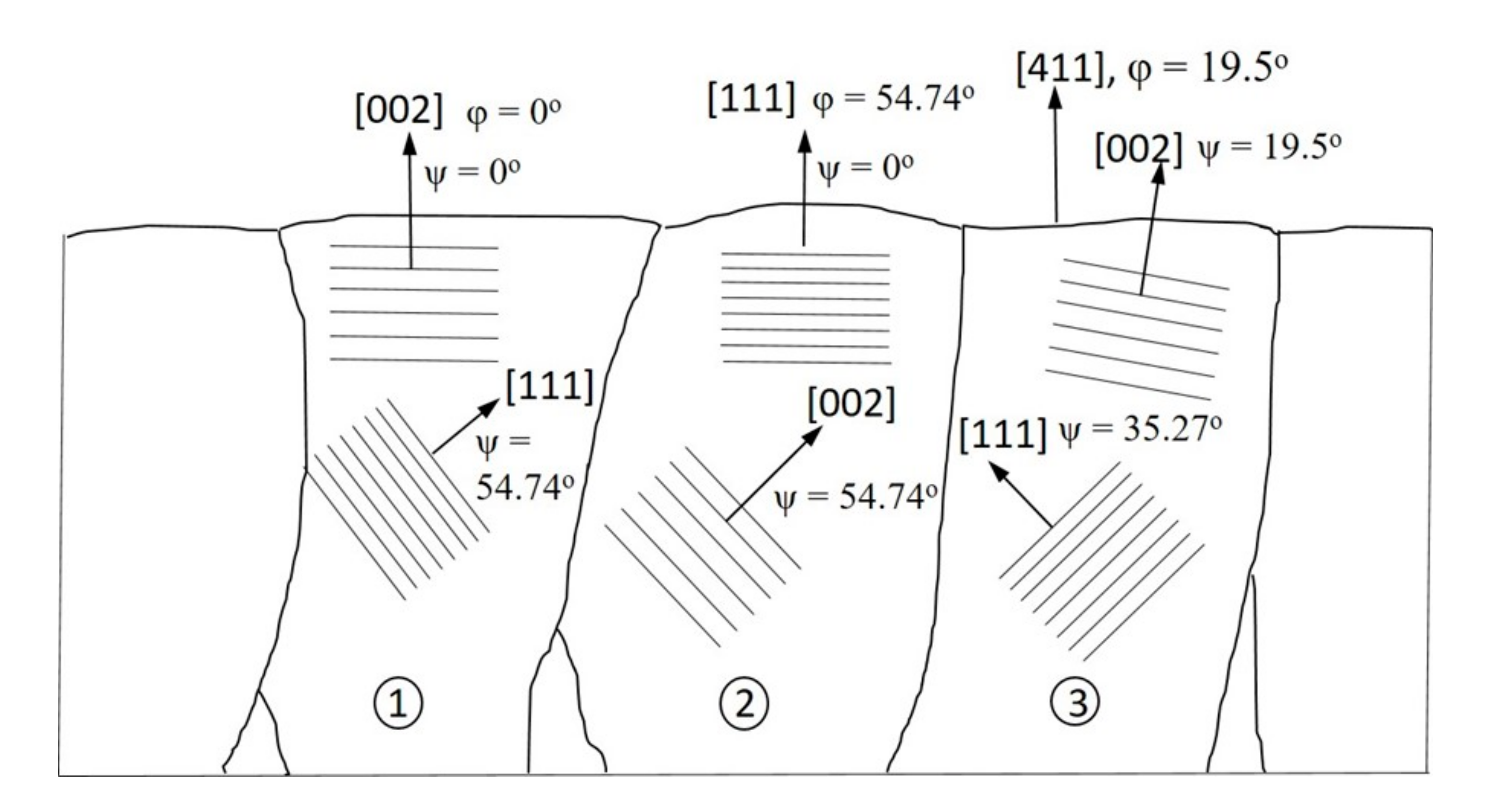 Coatings 10 00984 g001