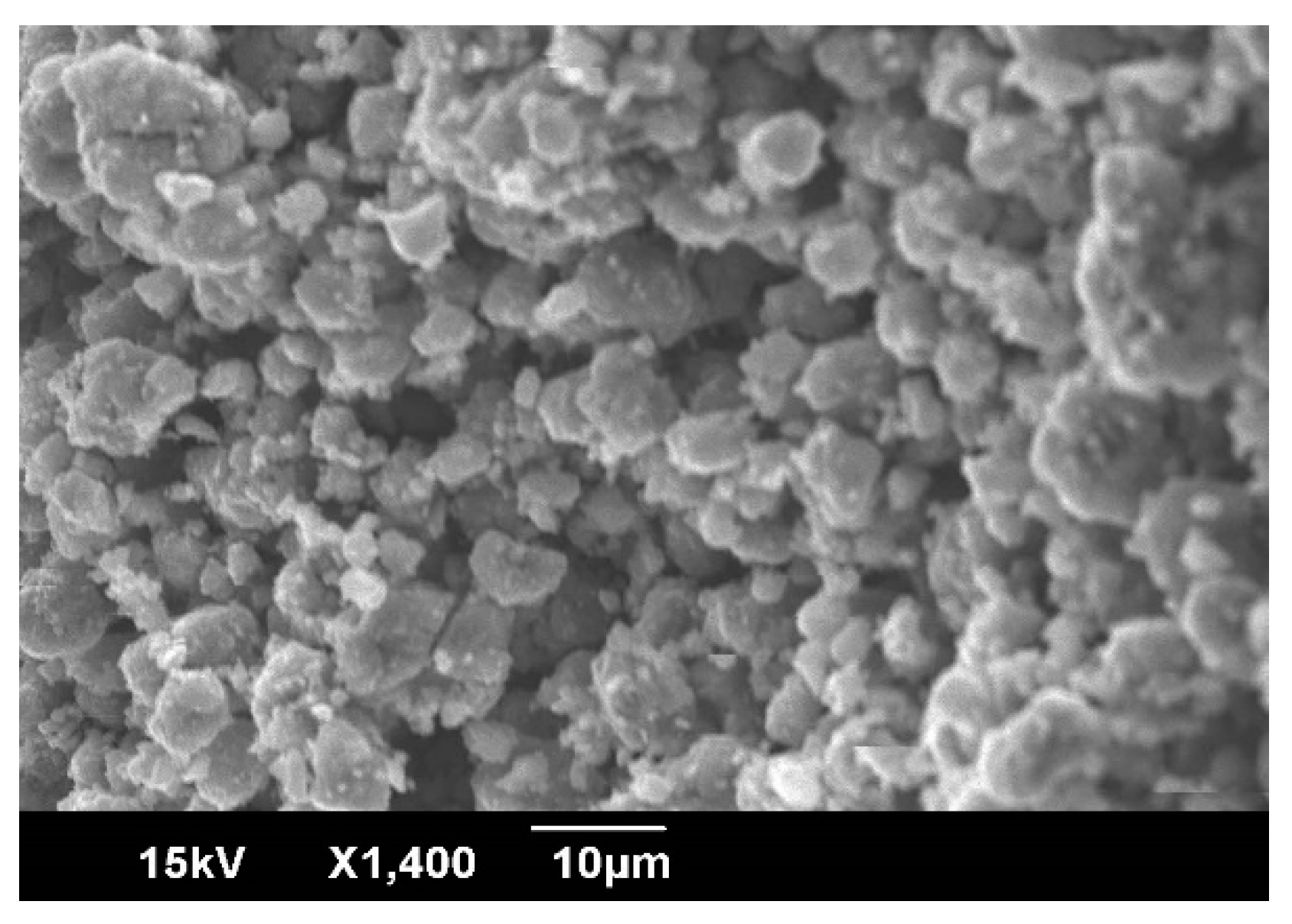 Coatings 10 00991 g001