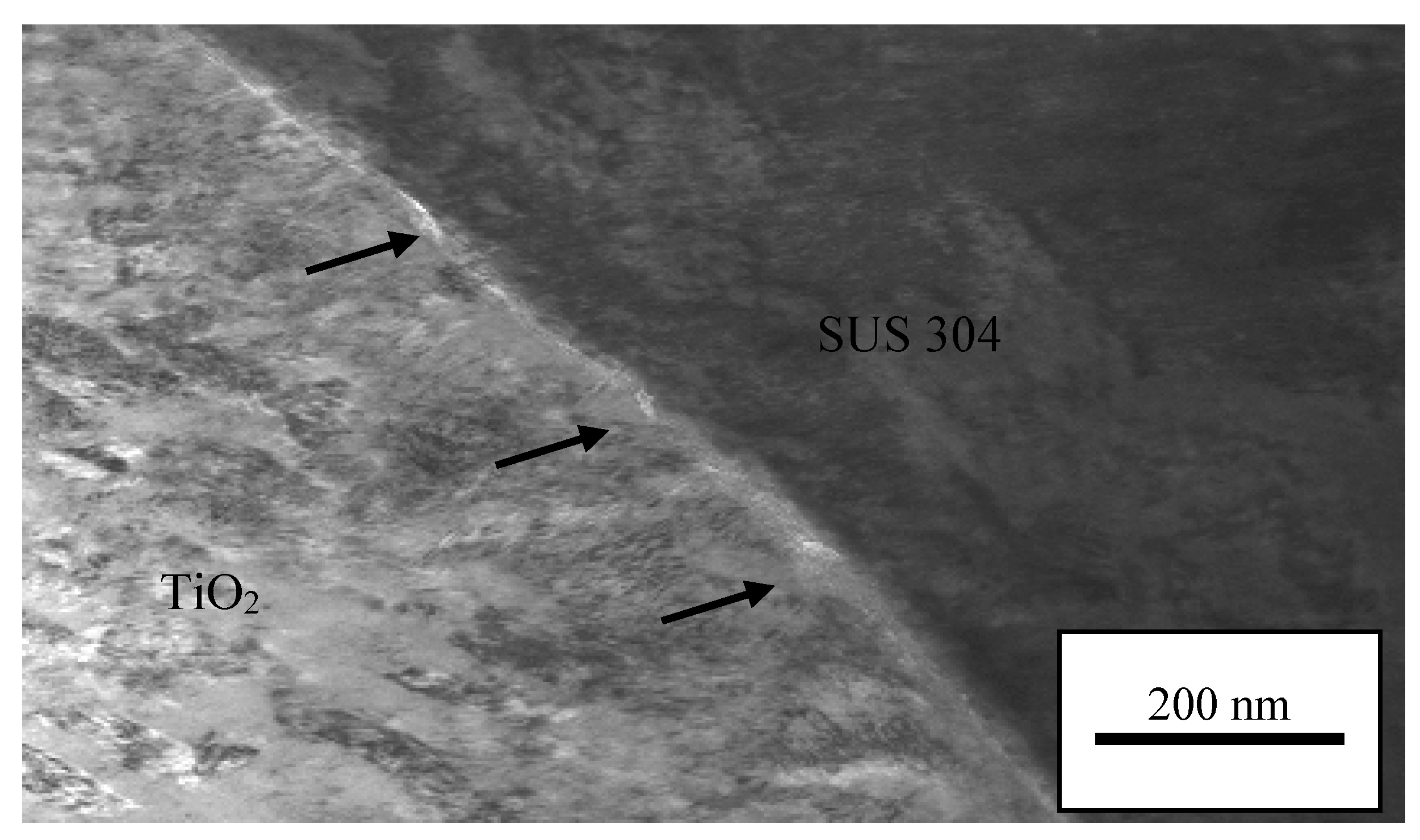 Coatings 10 00991 g008