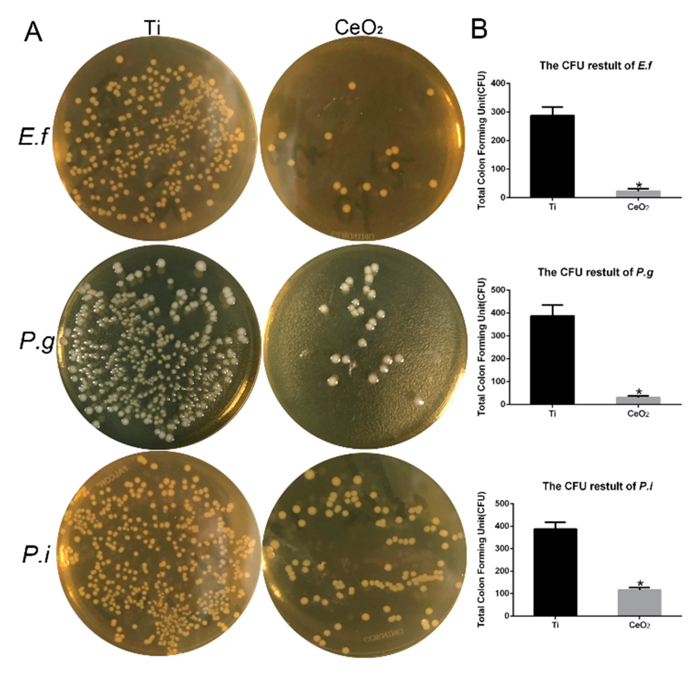 Coatings 10 01007 g005