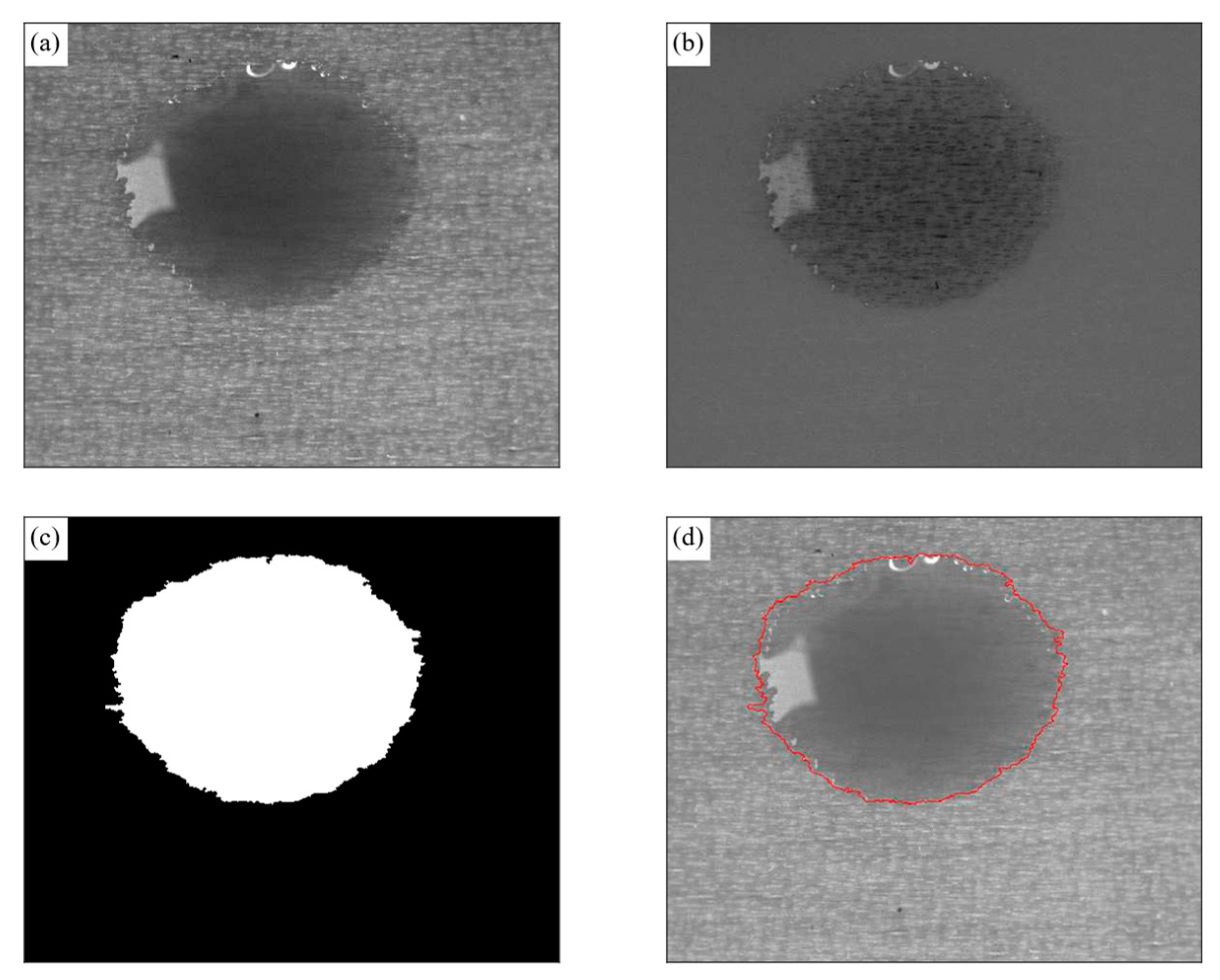 Coatings 10 01013 g009