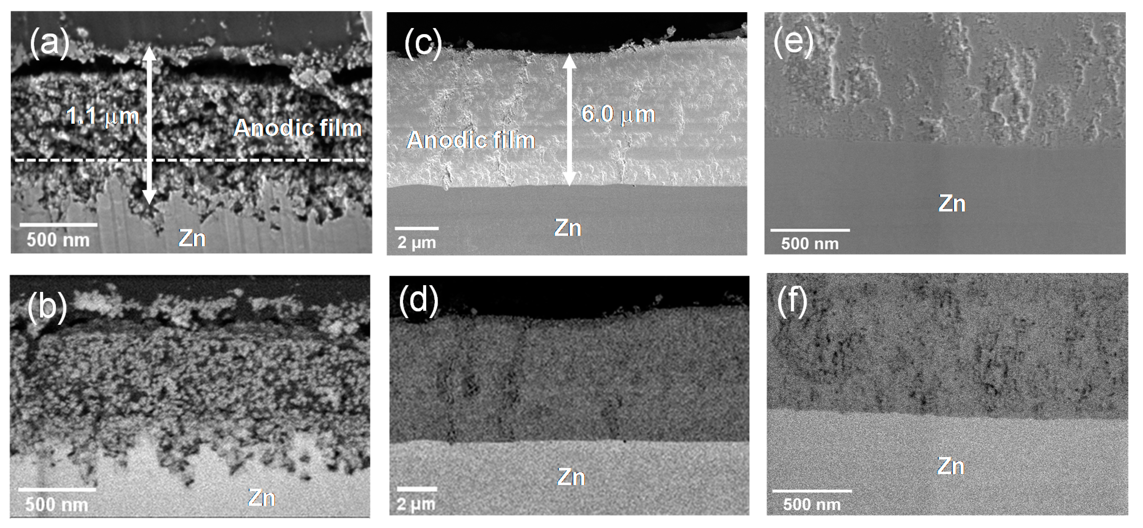 Coatings 10 01014 g004 Coatings 10 01014 g004