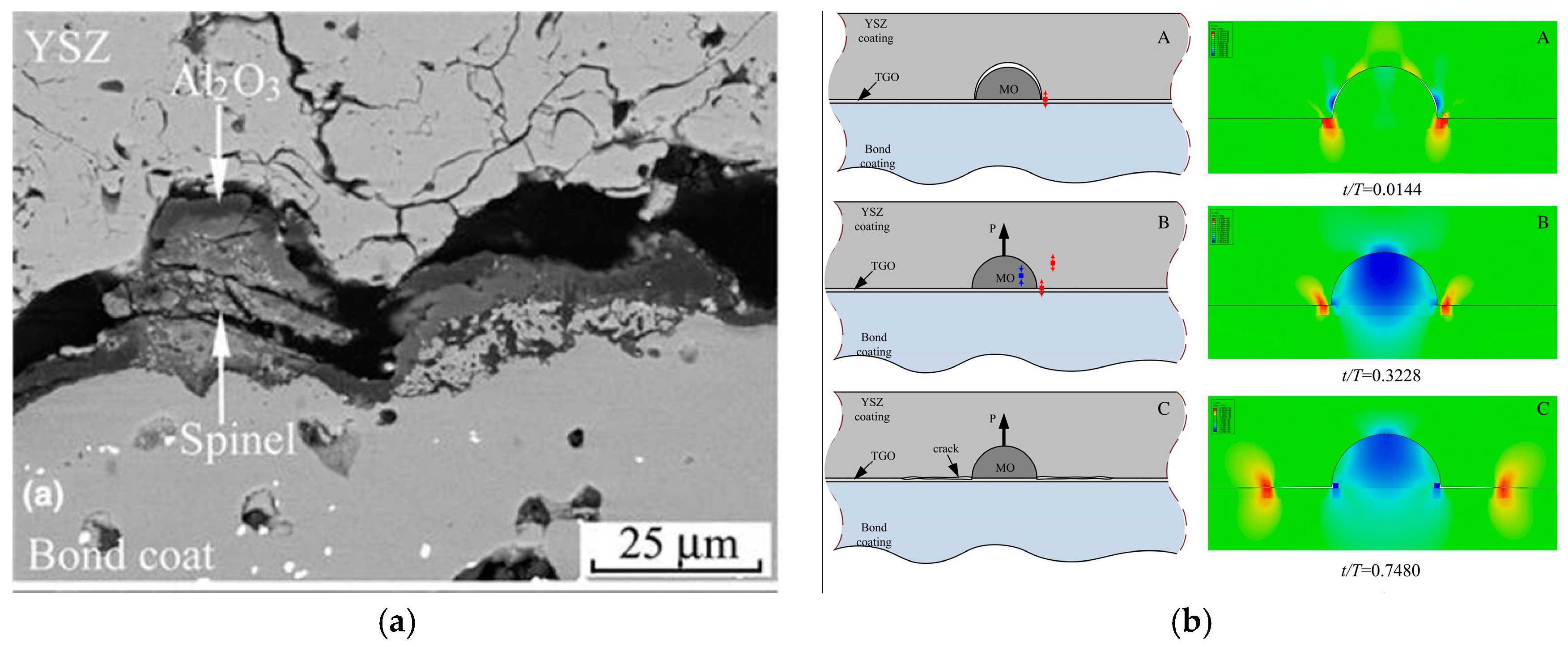 Coatings 10 01022 g006