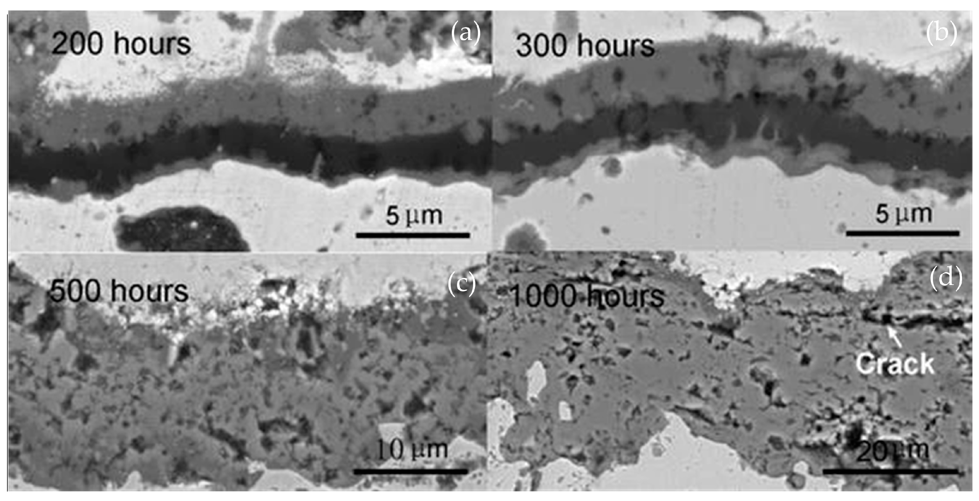 Coatings 10 01022 g007