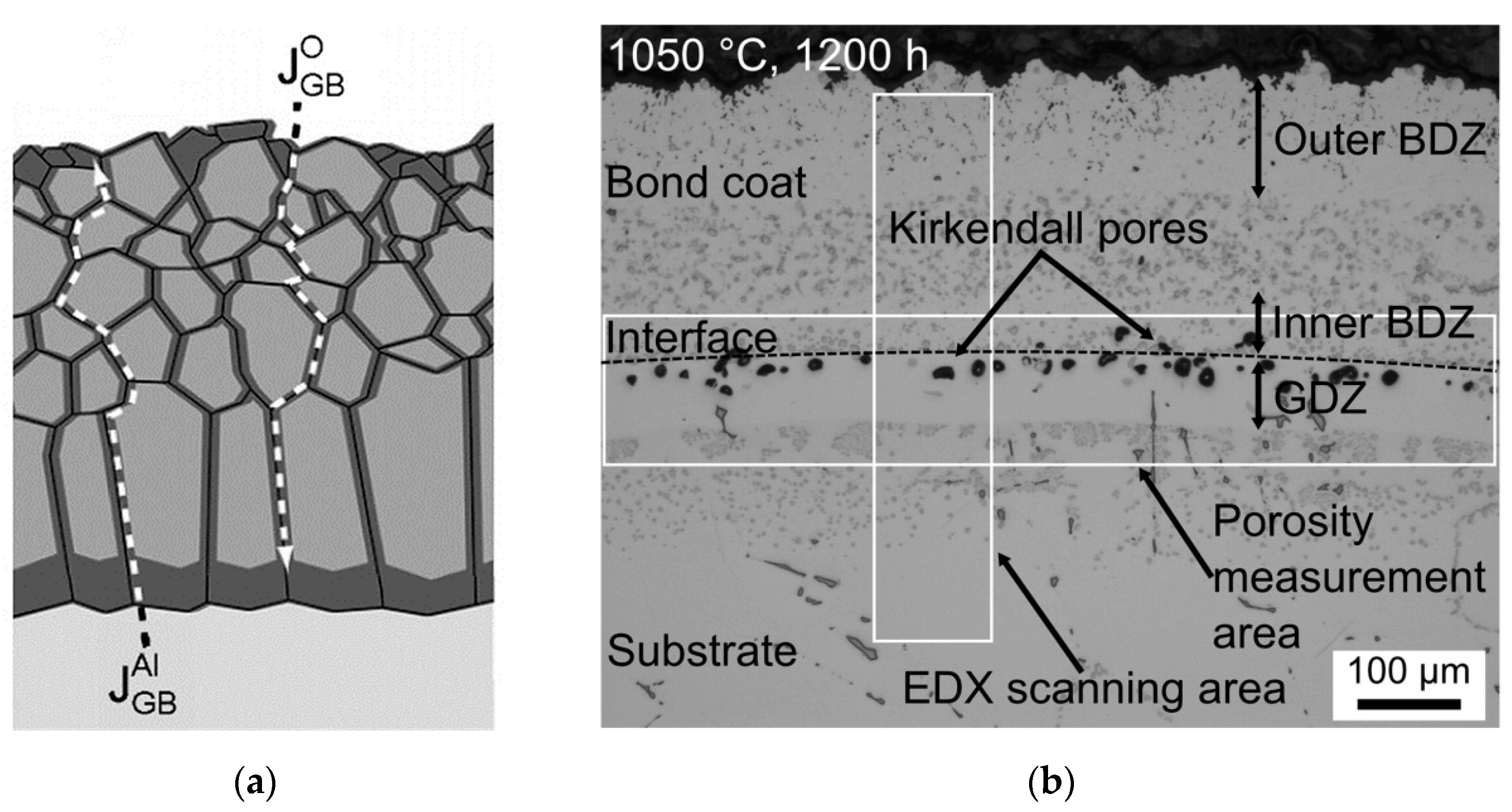 Coatings 10 01022 g010