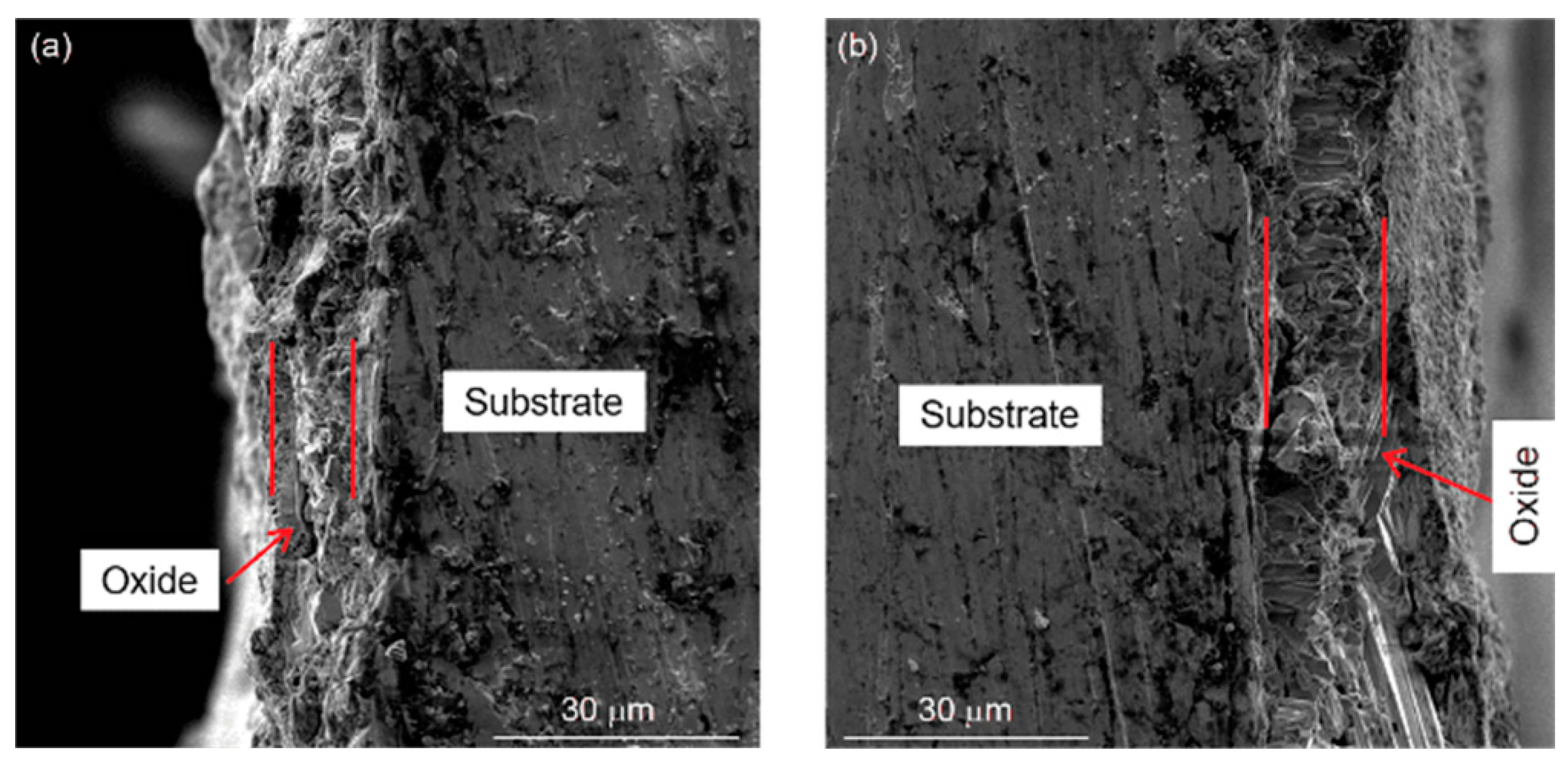 Coatings 10 01022 g011