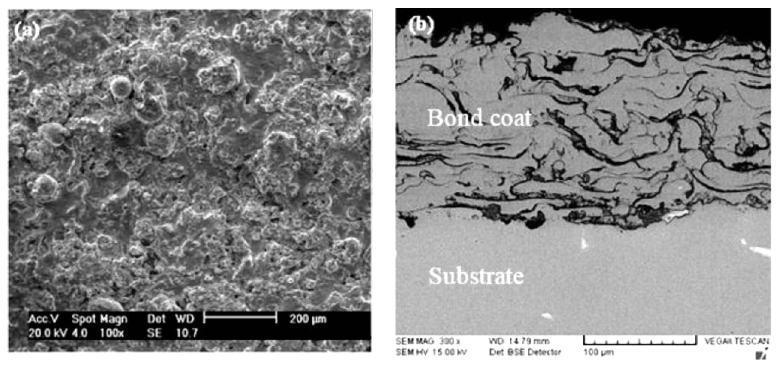 Coatings 10 01022 g012