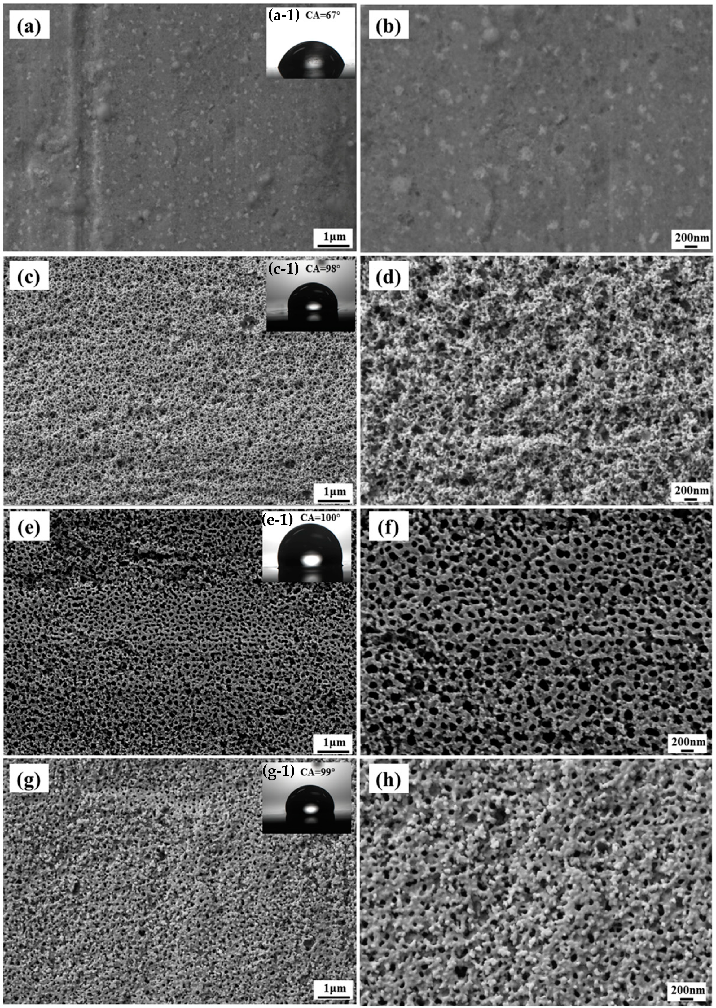 Coatings 10 01025 g001 Coatings 10 01025 g001