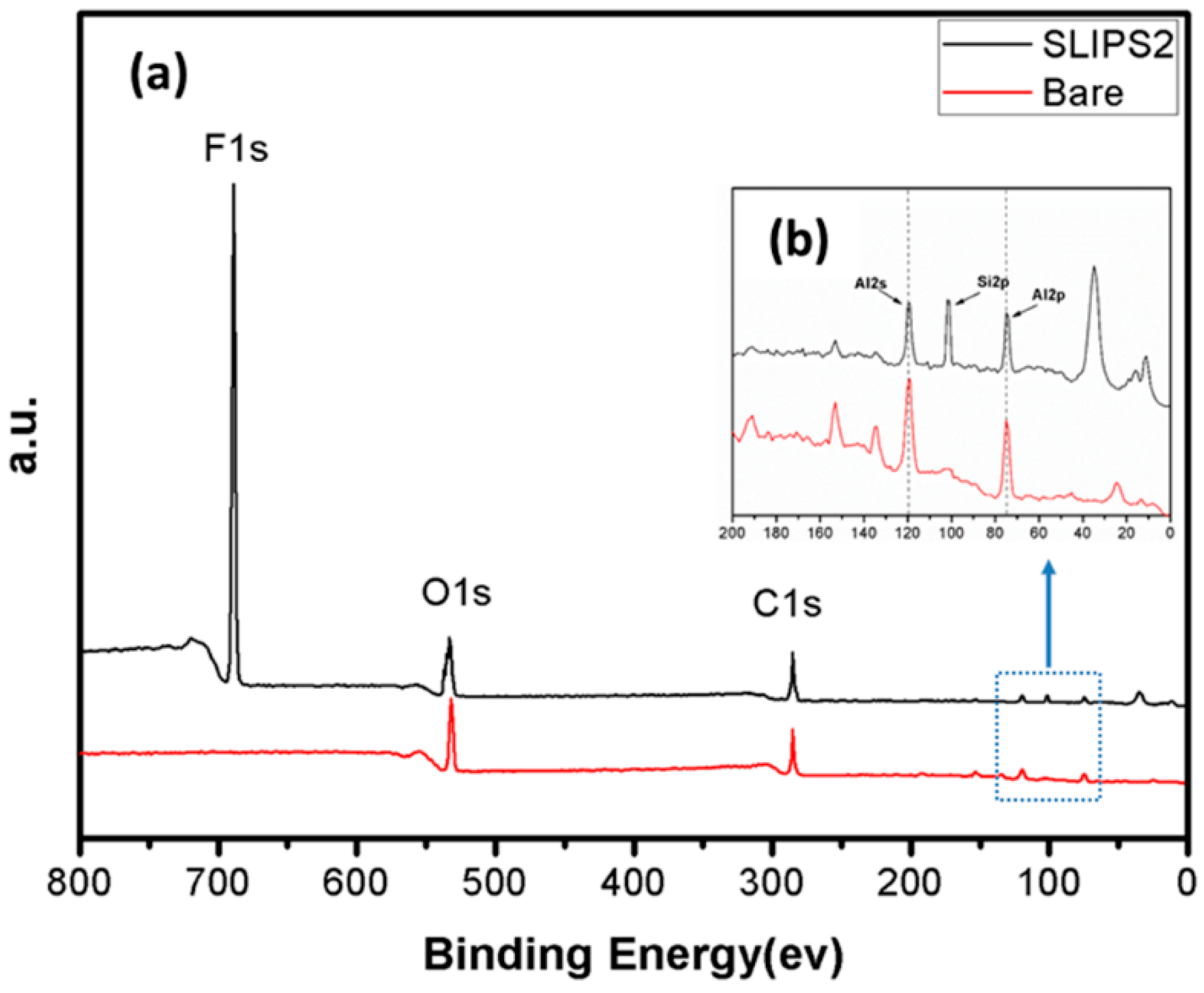 Coatings 10 01025 g003 Coatings 10 01025 g003