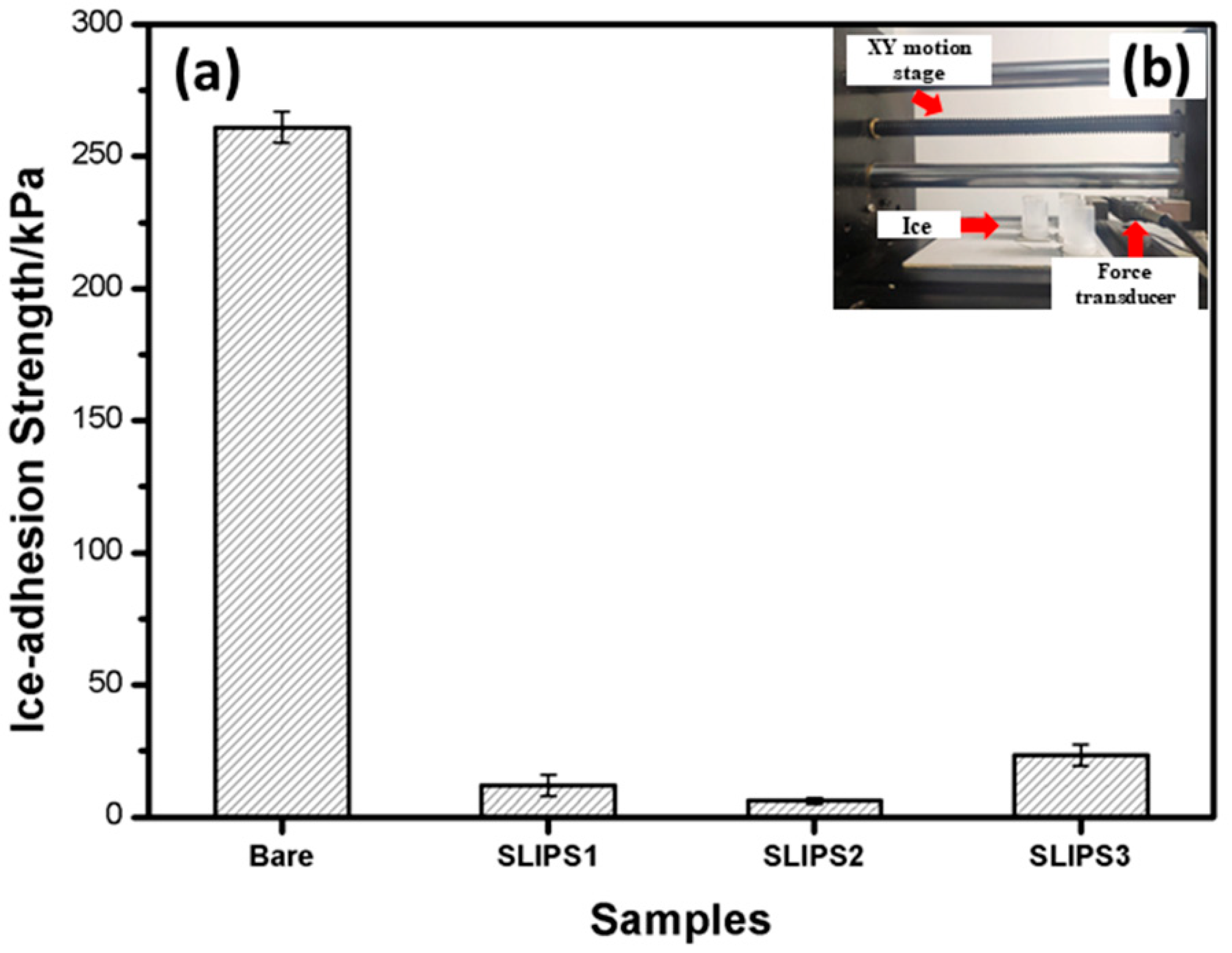Coatings 10 01025 g004 Coatings 10 01025 g004