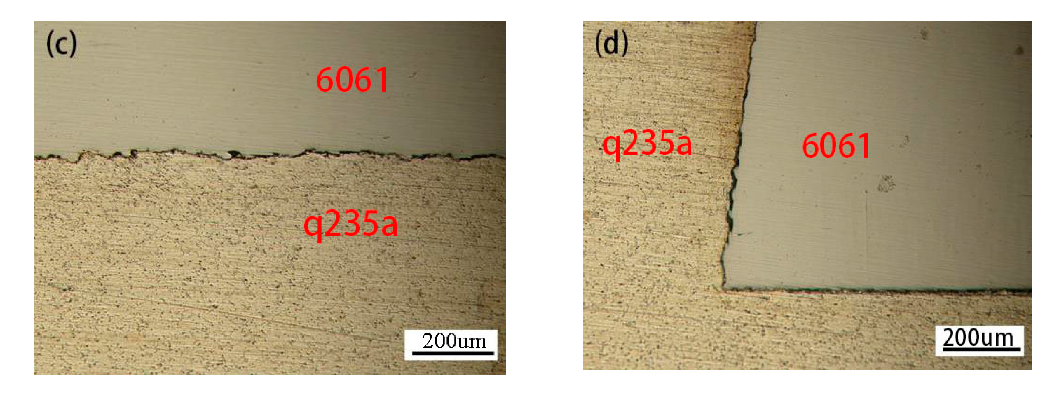 Coatings 10 01031 g004b
