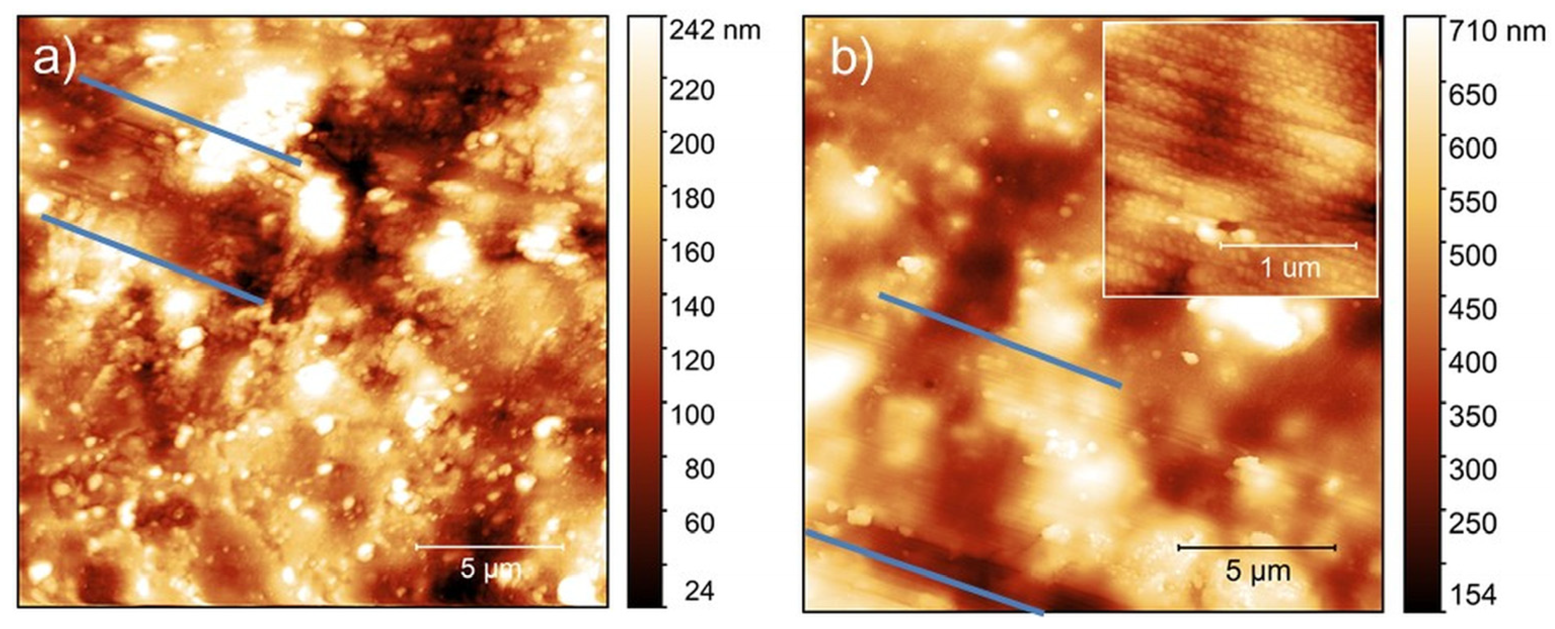 Coatings 10 01034 g005 Coatings 10 01034 g005