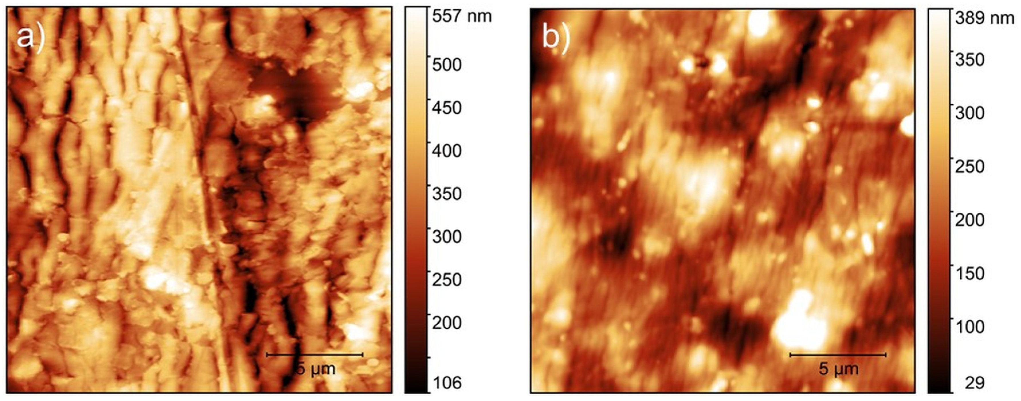 Coatings 10 01034 g006 Coatings 10 01034 g006