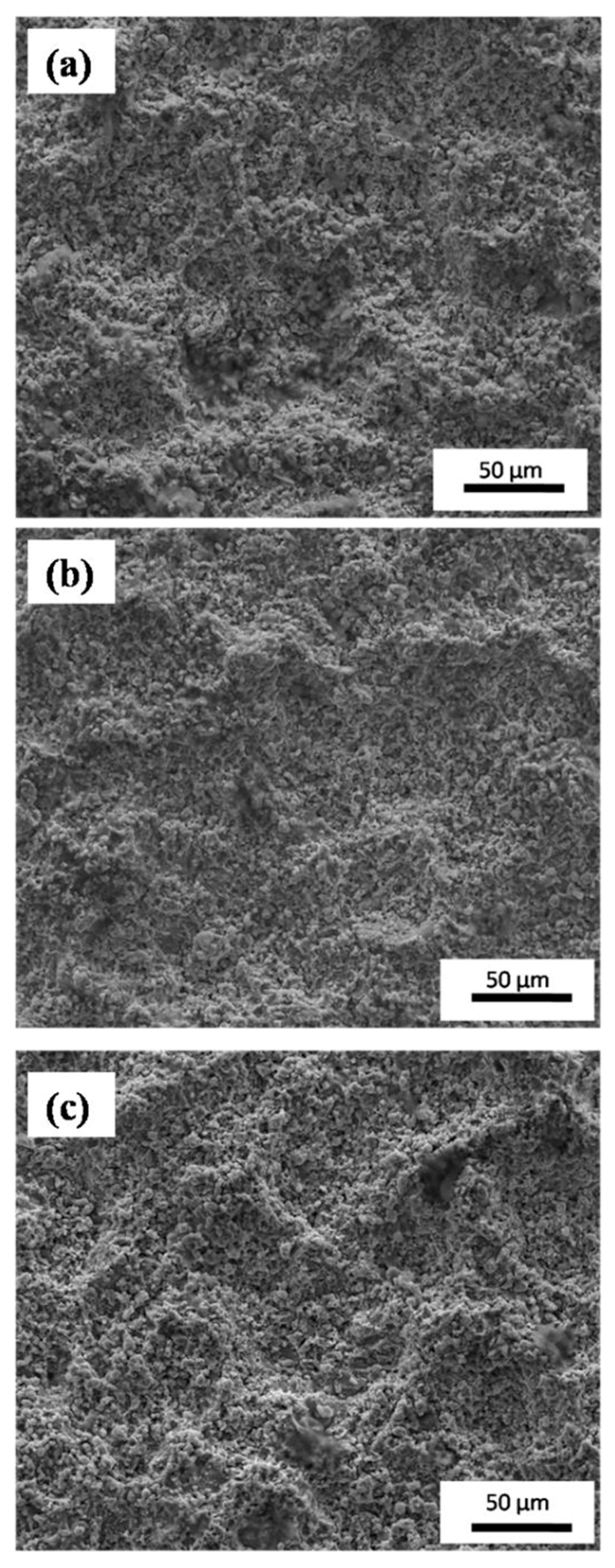 Coatings 10 01042 g012