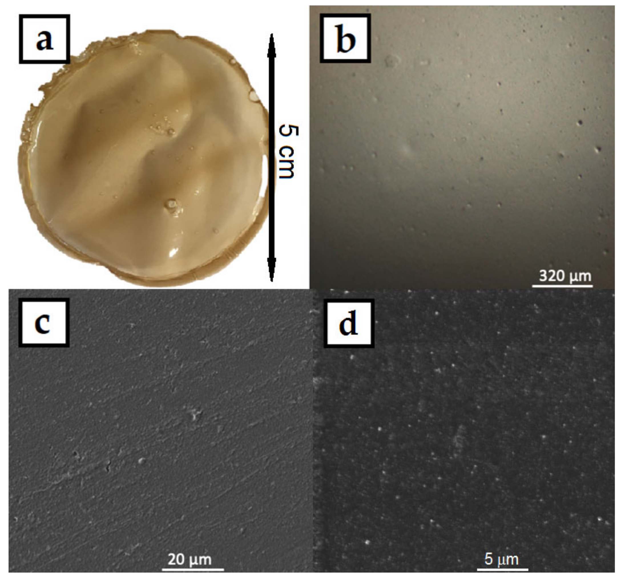Coatings 10 01046 g005
