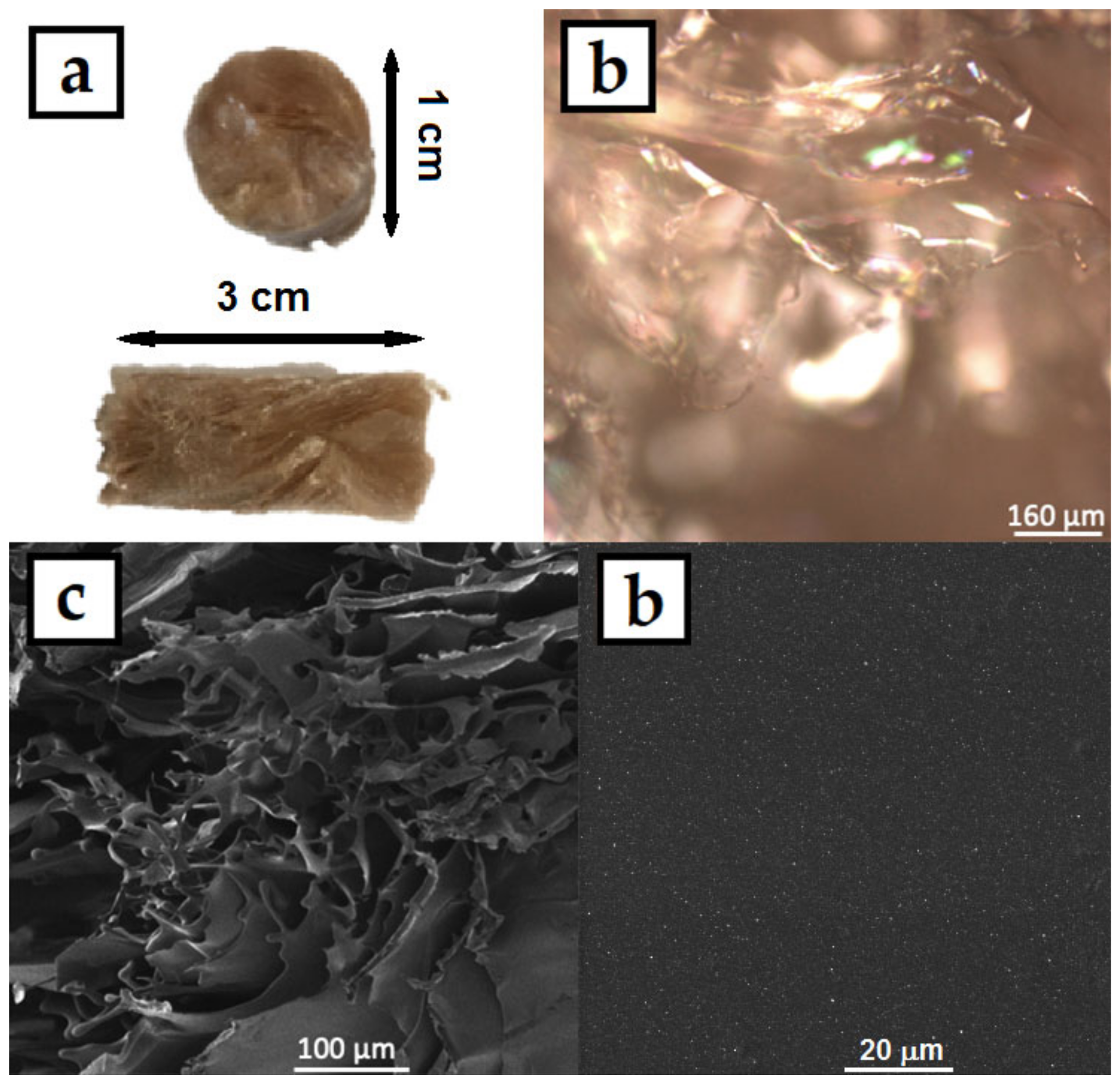 Coatings 10 01046 g006