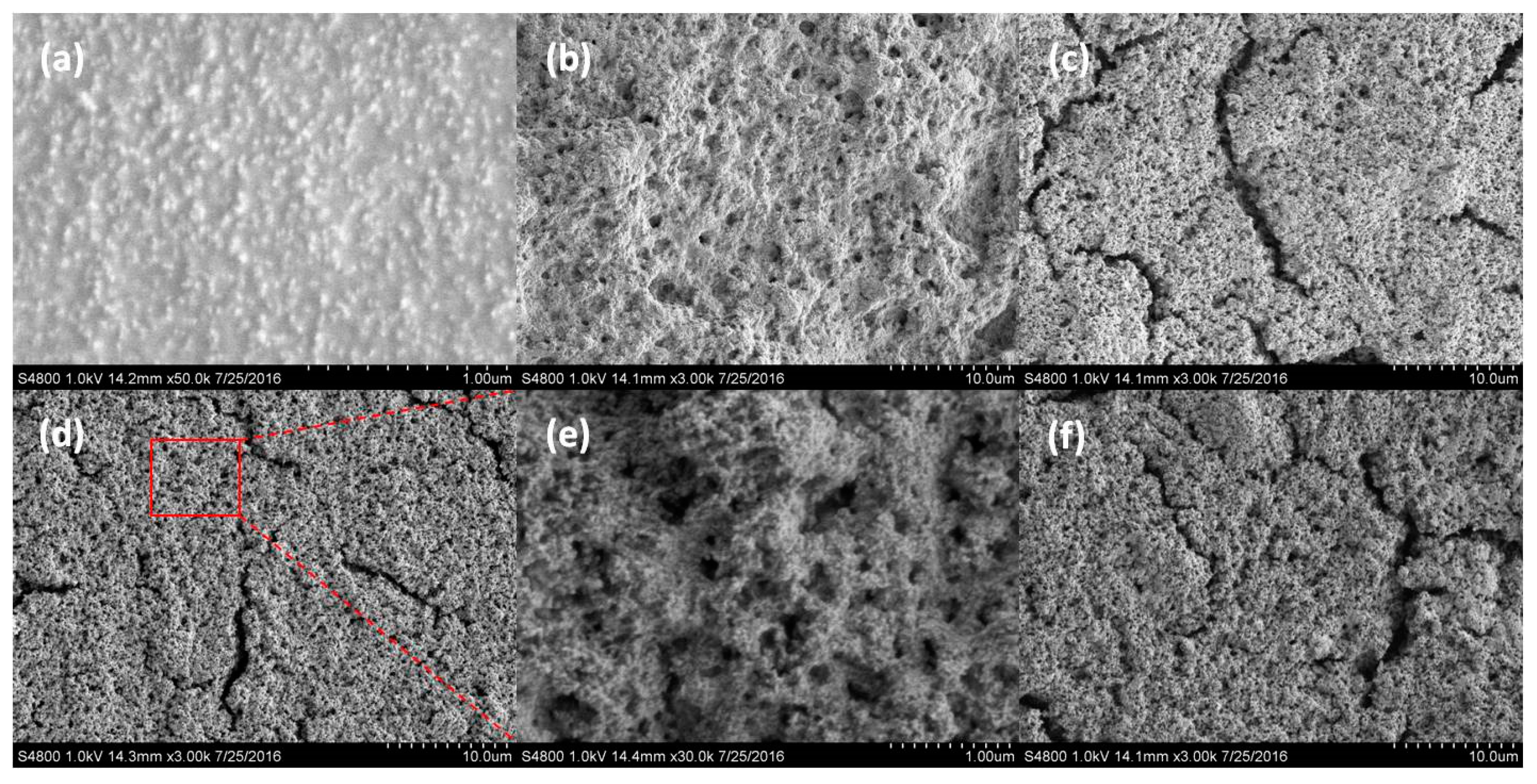 Coatings 10 01051 g004
