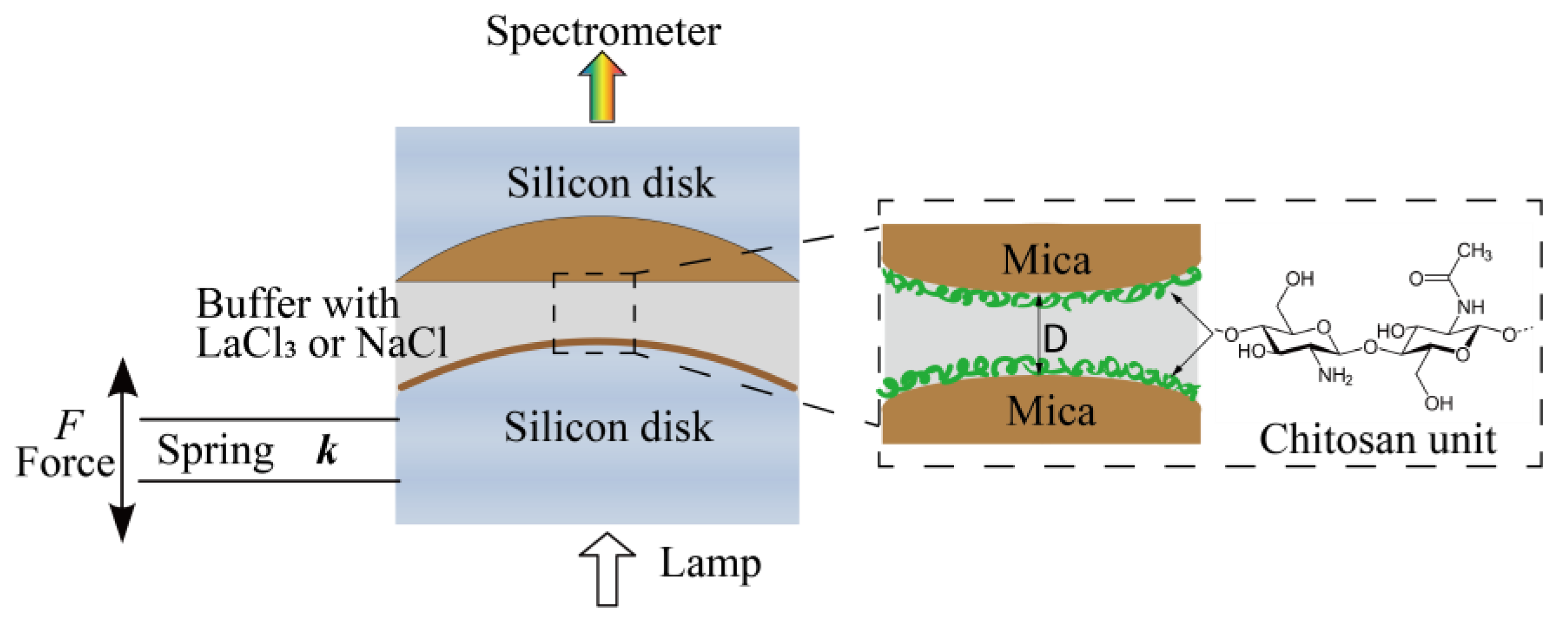 Coatings 10 01052 g001