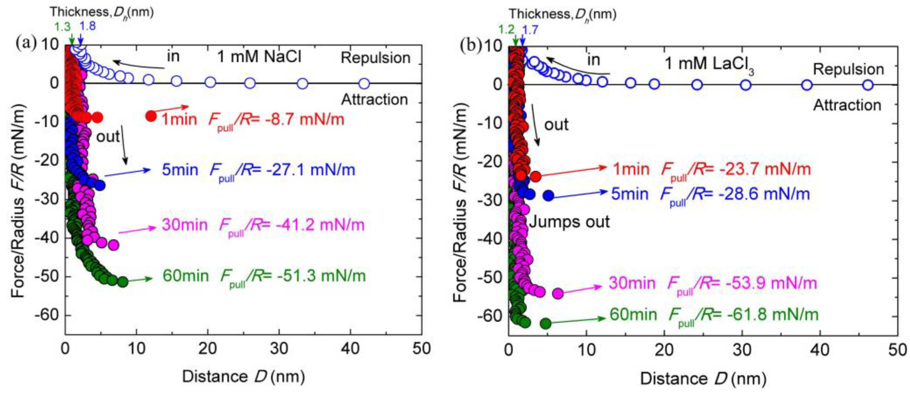 Coatings 10 01052 g003