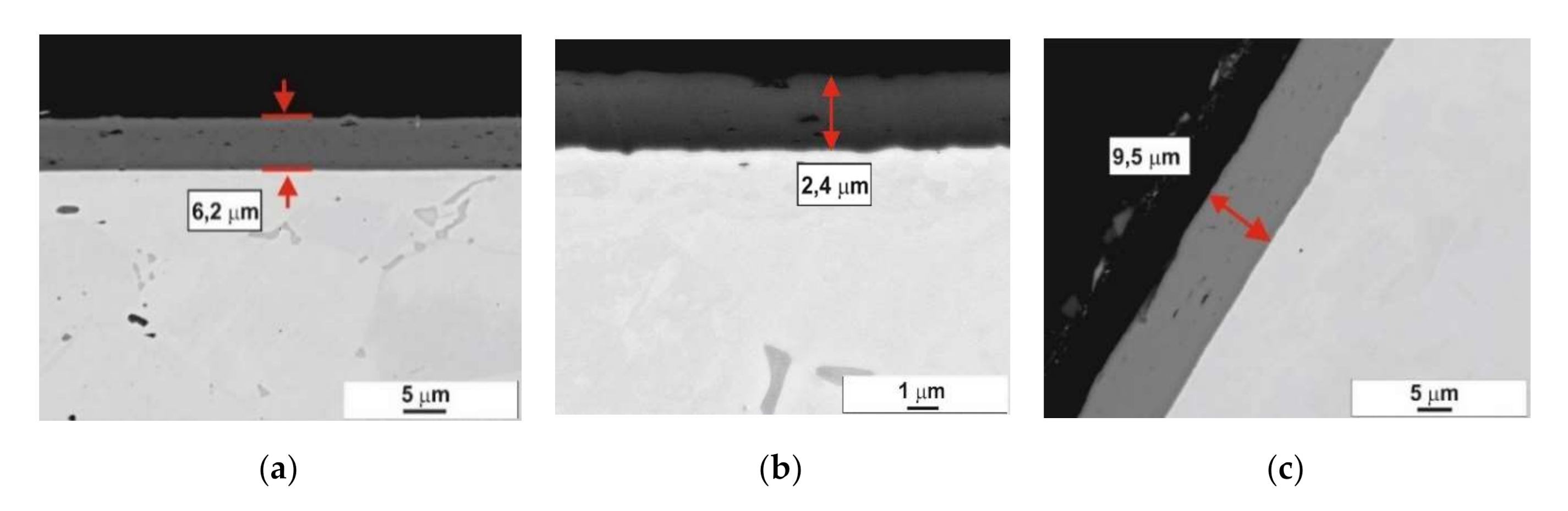 Coatings 10 01054 g004