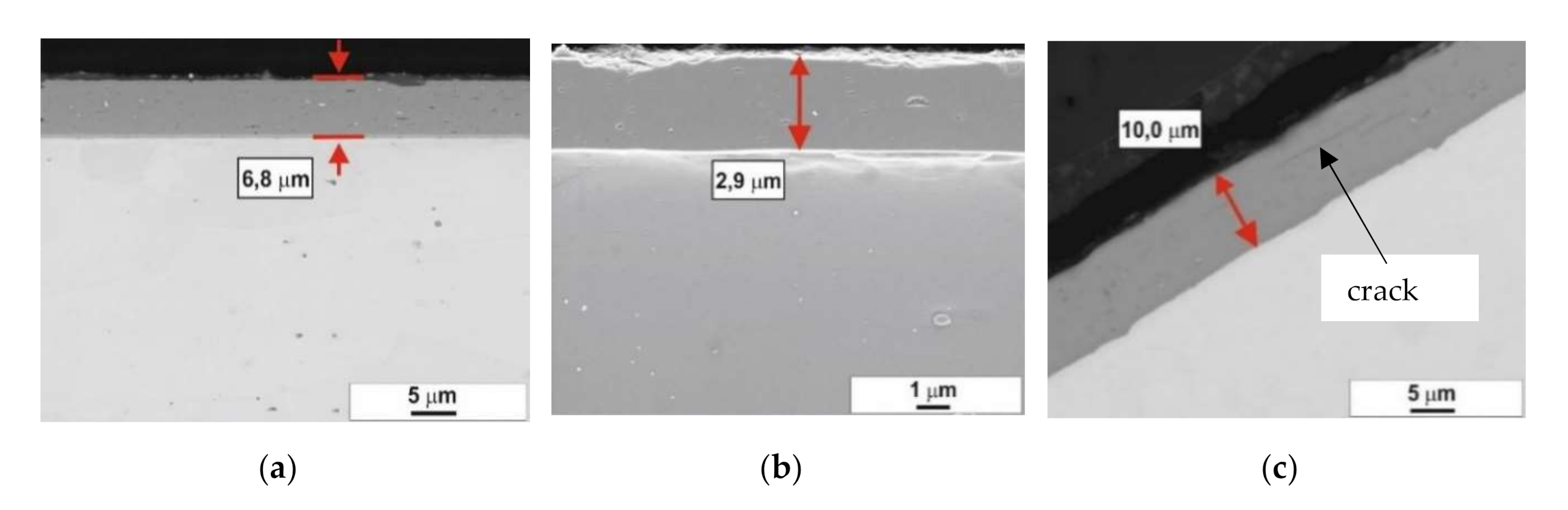 Coatings 10 01054 g005