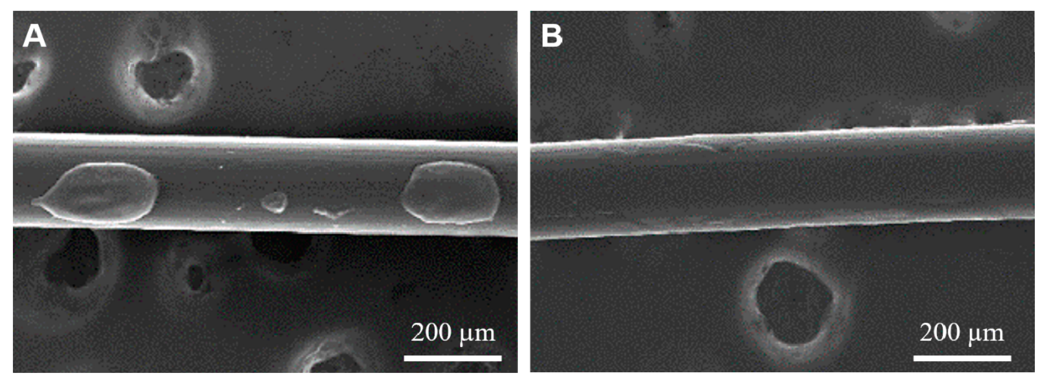 Coatings 10 01056 g005 Coatings 10 01056 g005