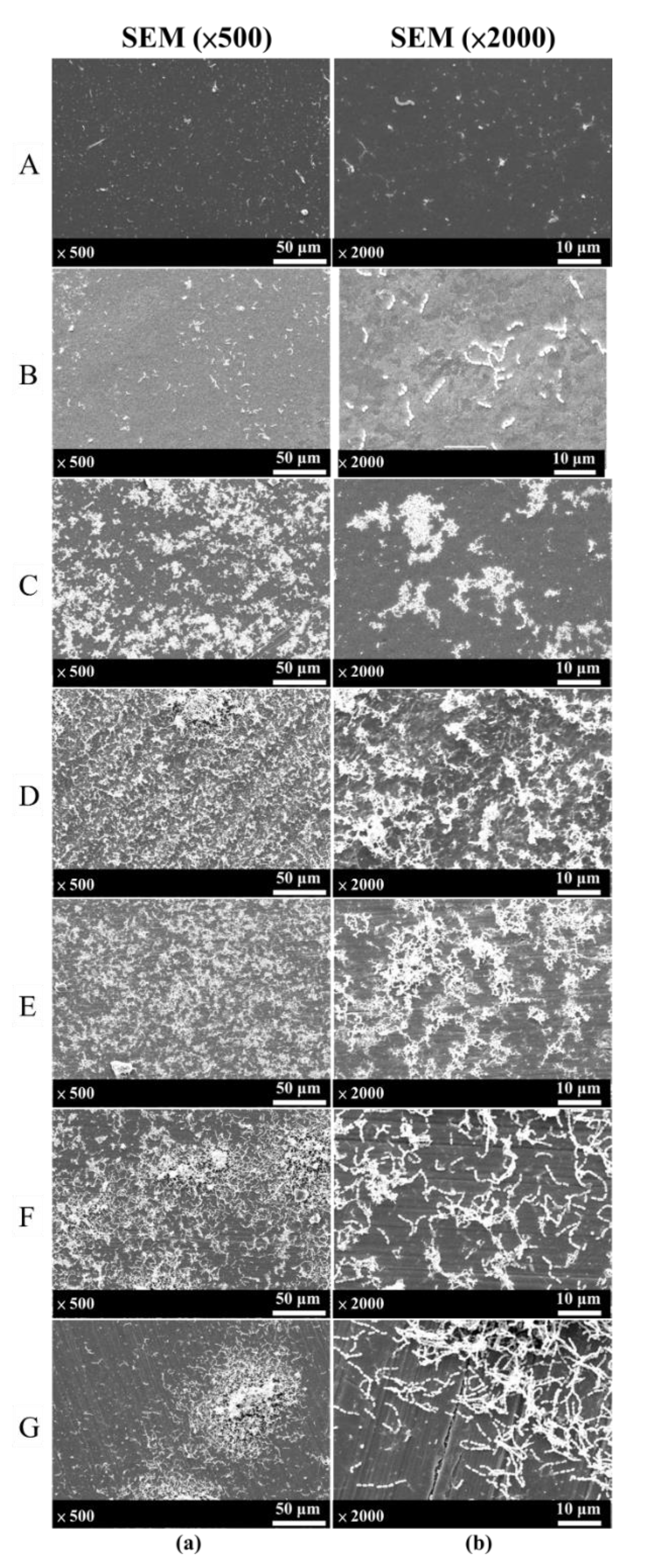 Coatings 10 01057 g011 Coatings 10 01057 g011