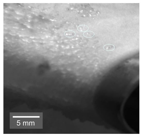 Coatings 10 01058 g0a3