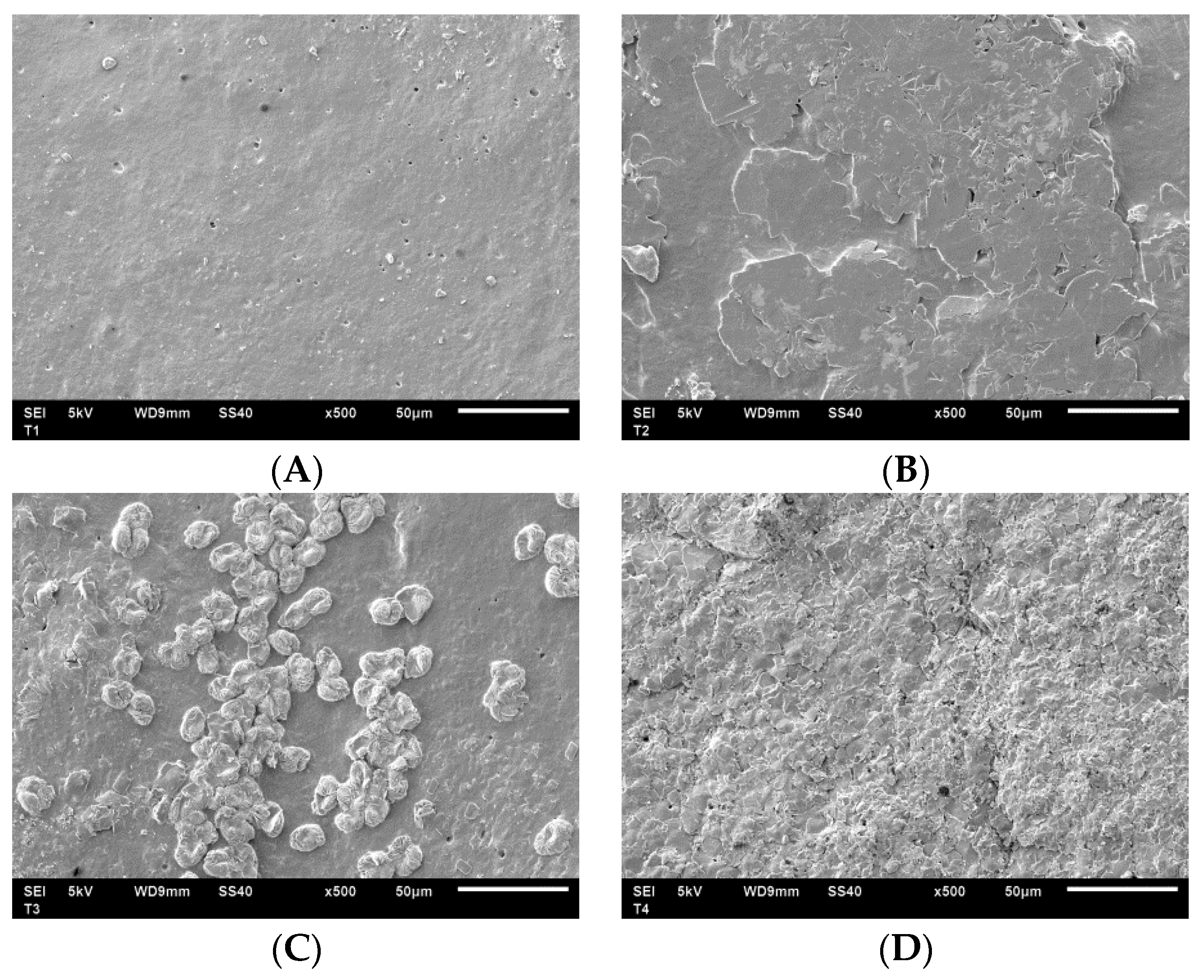 Coatings 10 01059 g002 Coatings 10 01059 g002