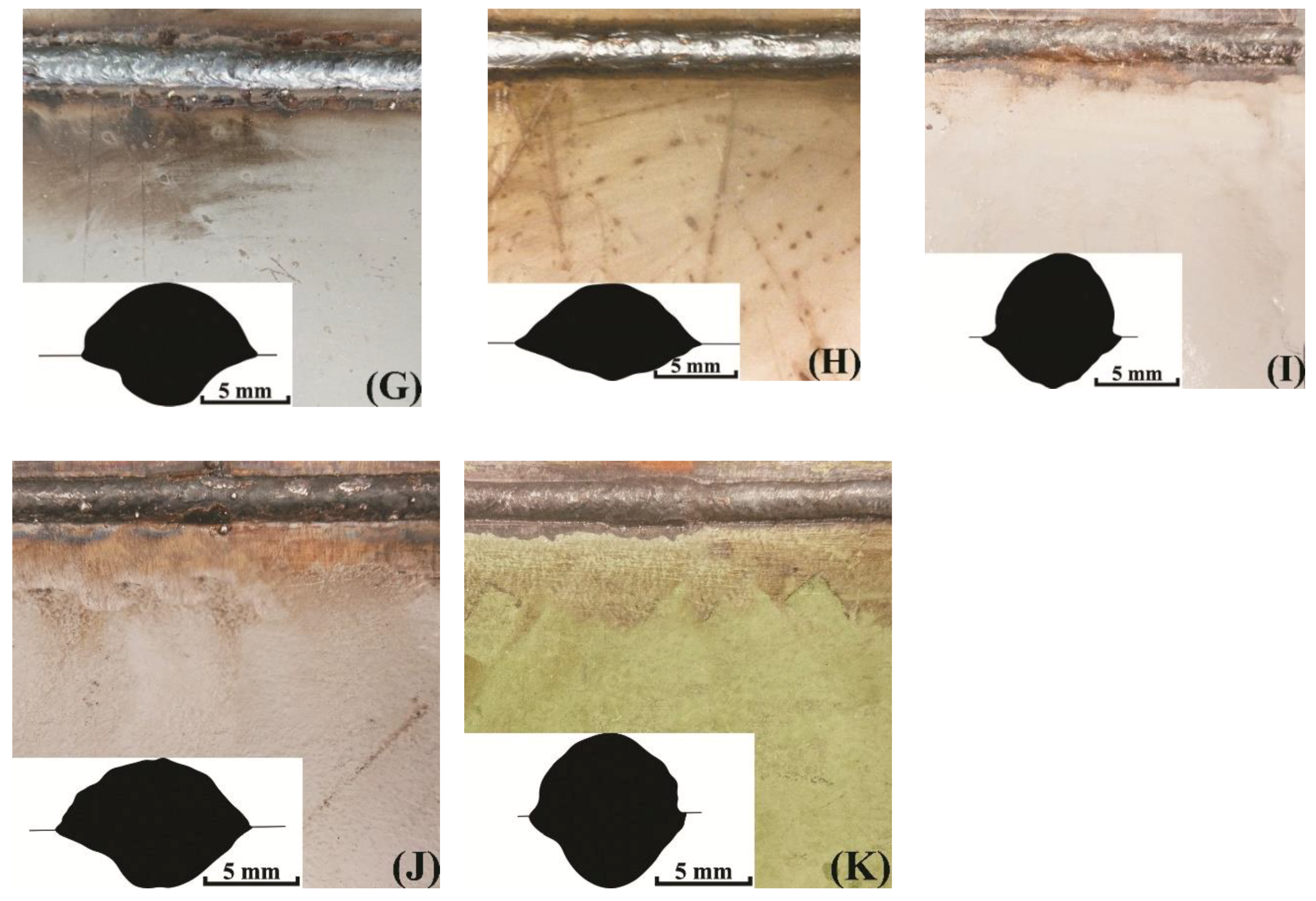 Coatings 10 01061 g002b