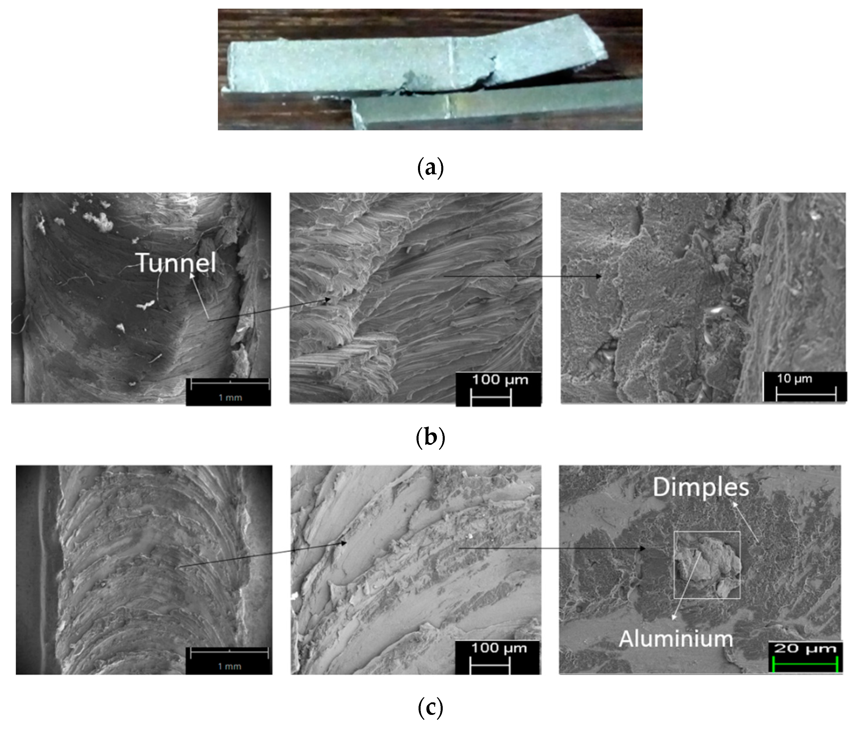 Coatings 10 01062 g012