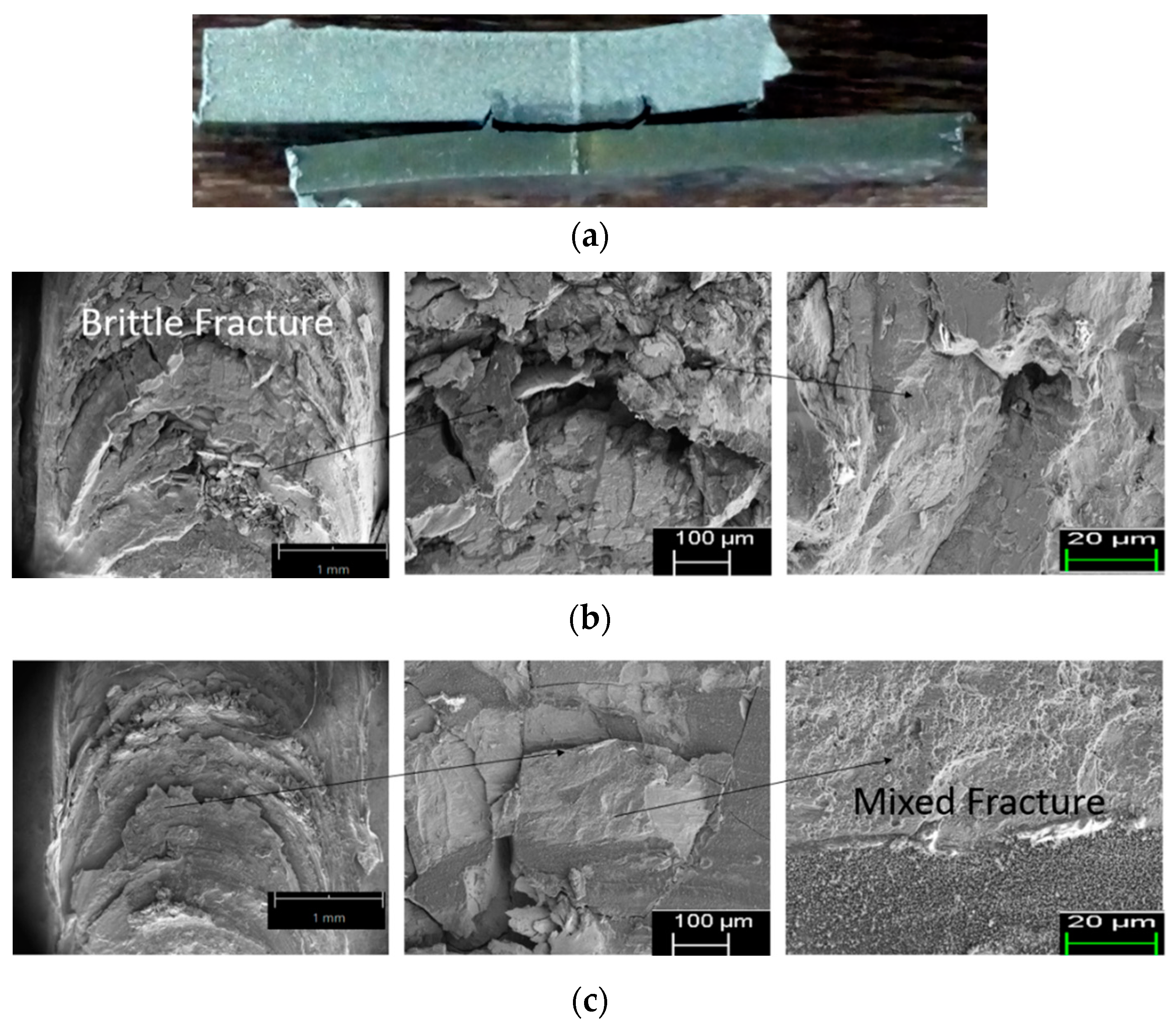 Coatings 10 01062 g013