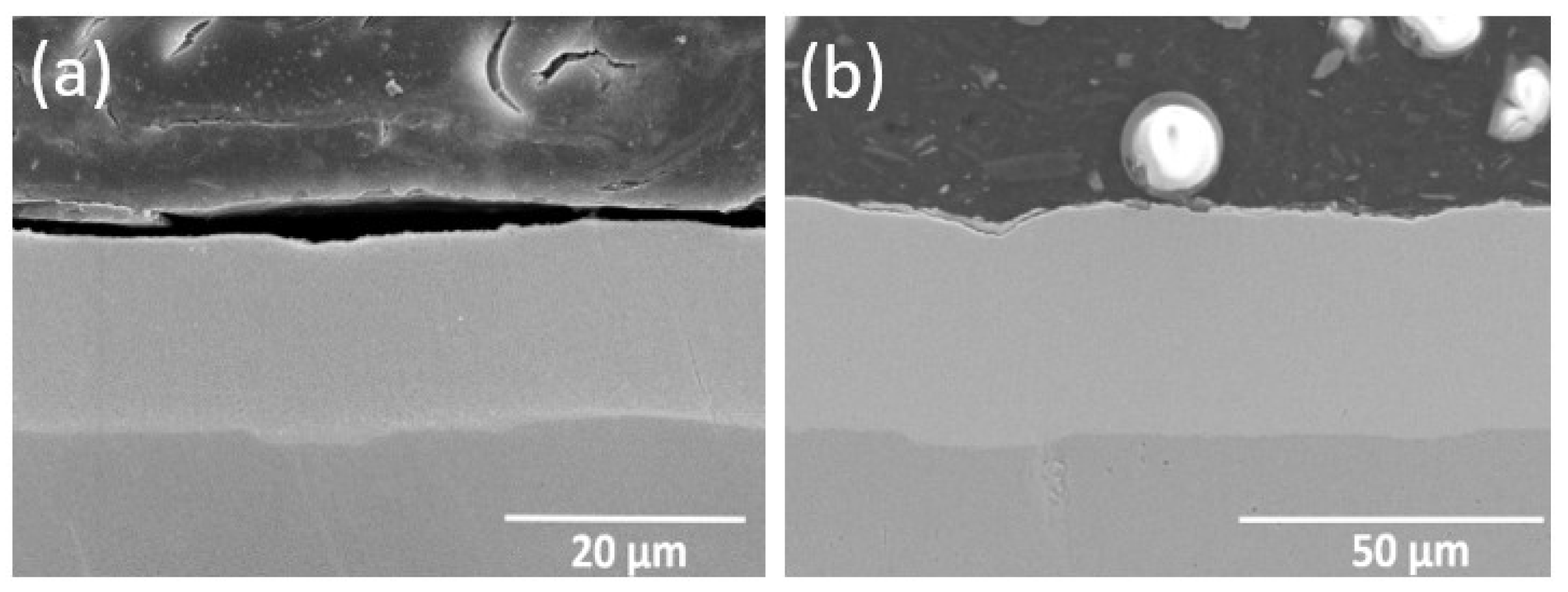Coatings 10 01082 g003