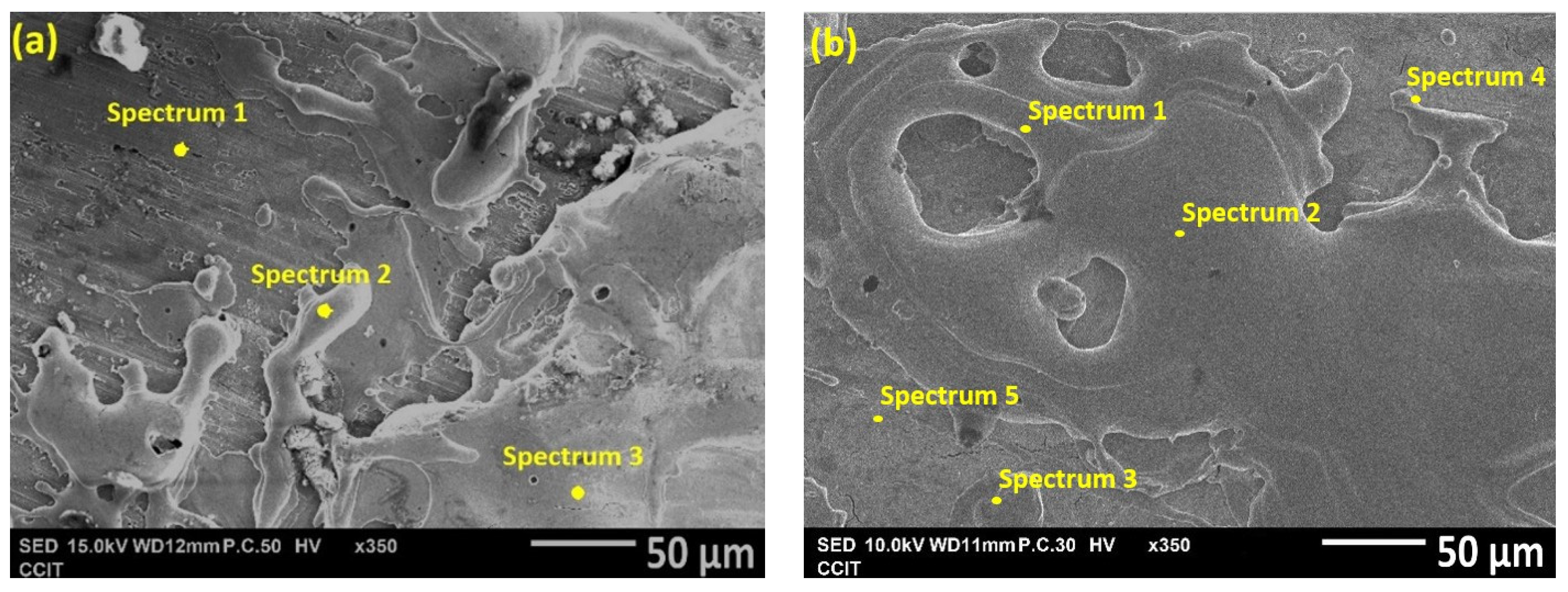 Coatings 10 01082 g008a