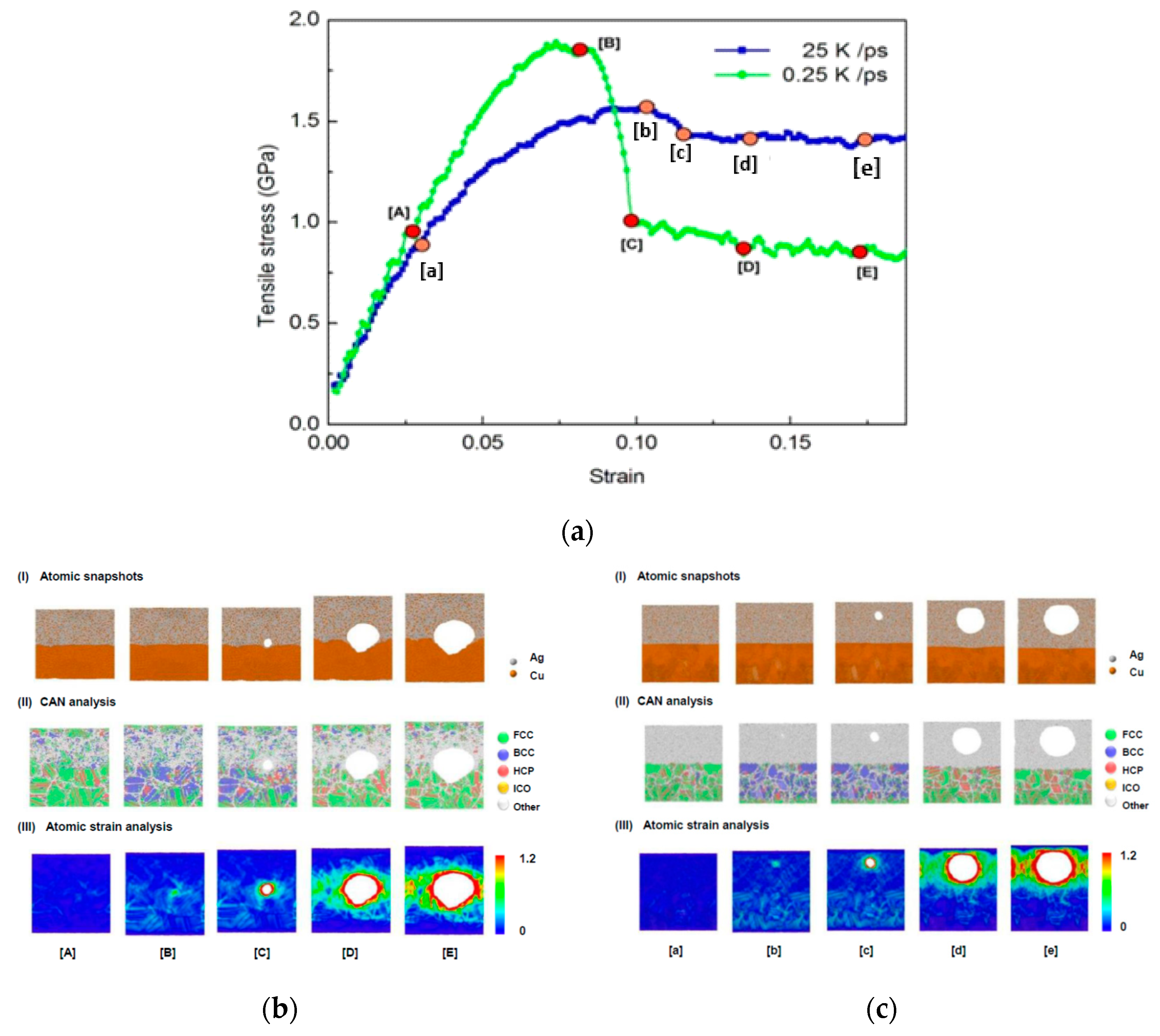 Coatings 10 01087 g011