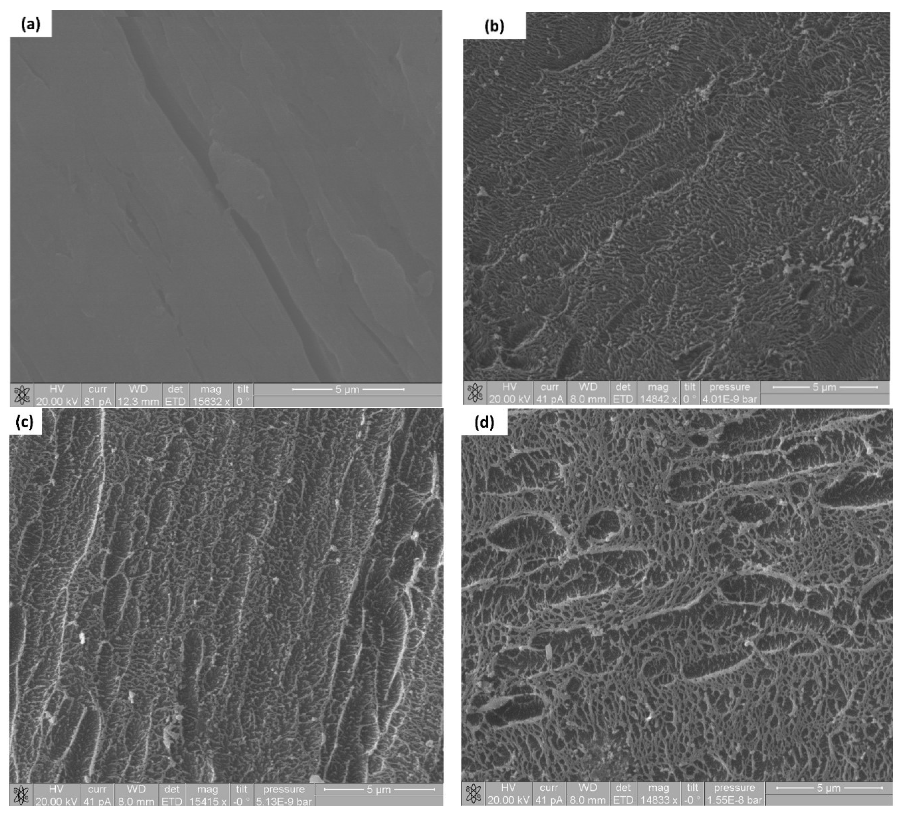 Coatings 10 01088 g001a