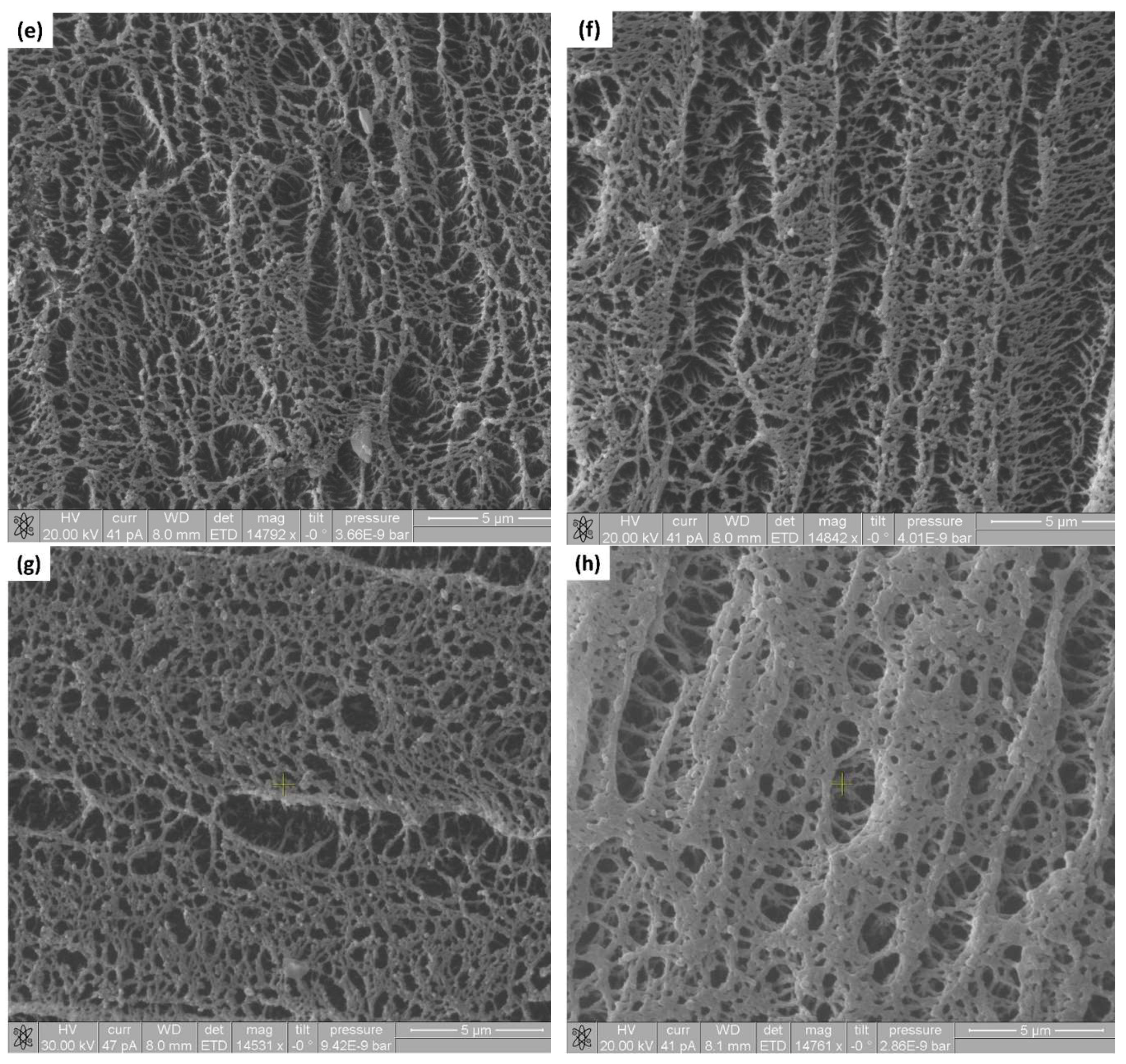 Coatings 10 01088 g001b