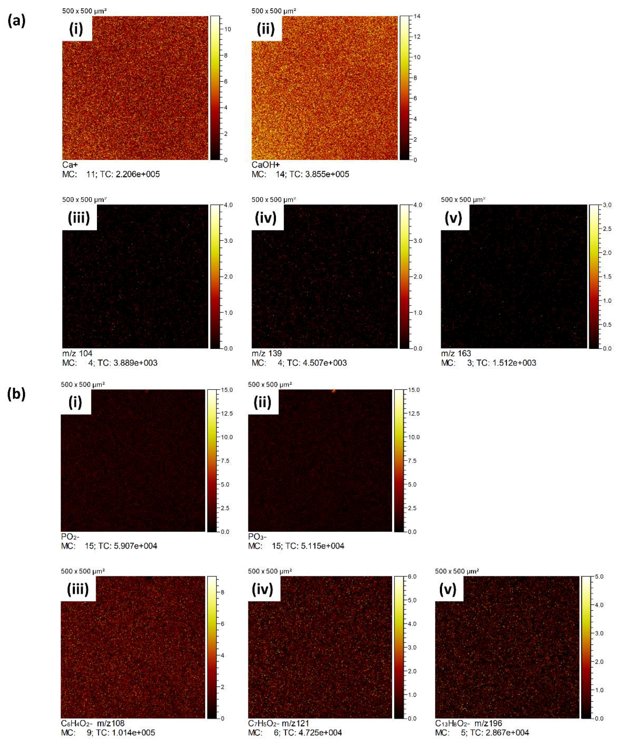 Coatings 10 01088 g013
