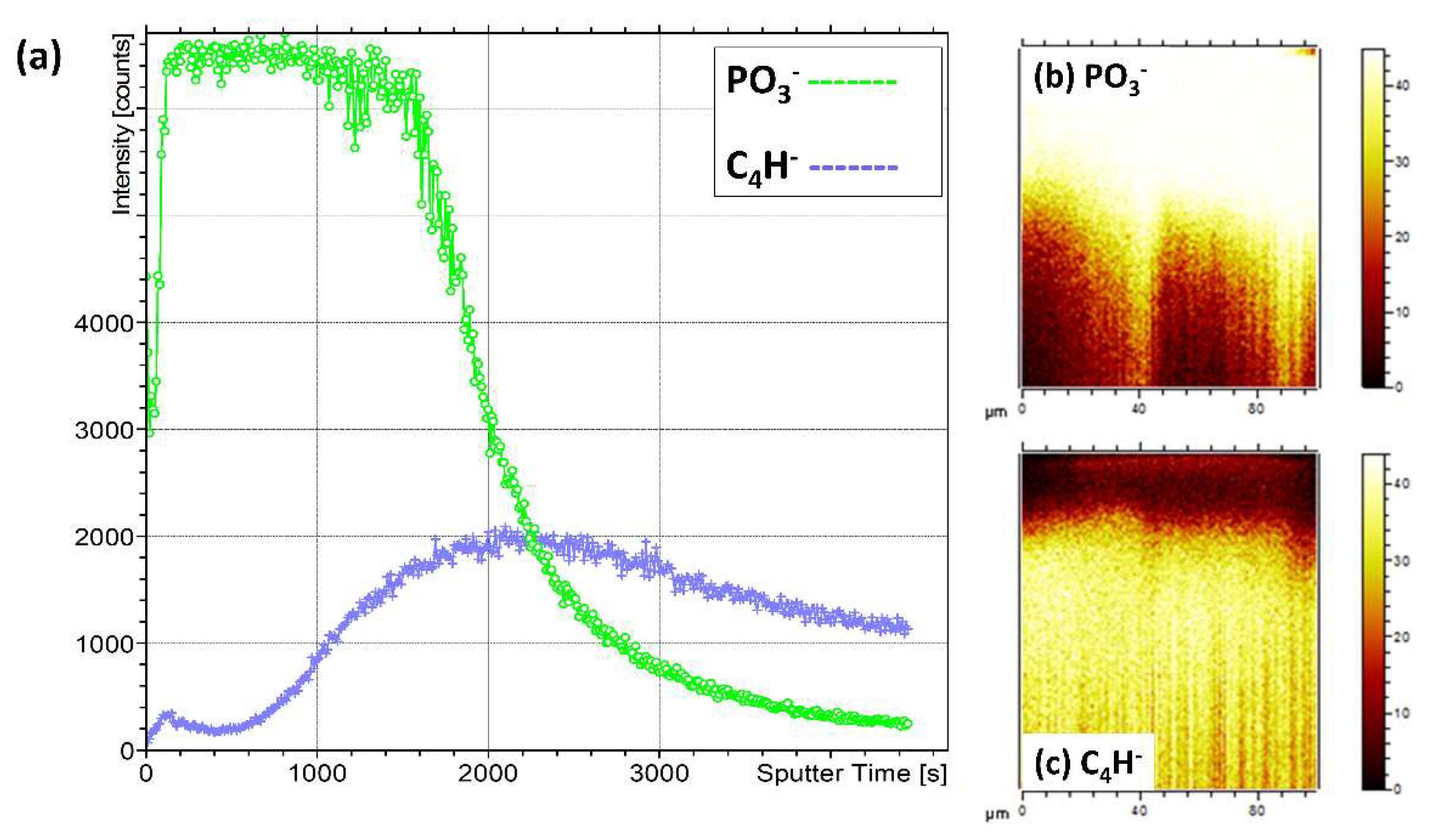 Coatings 10 01088 g016