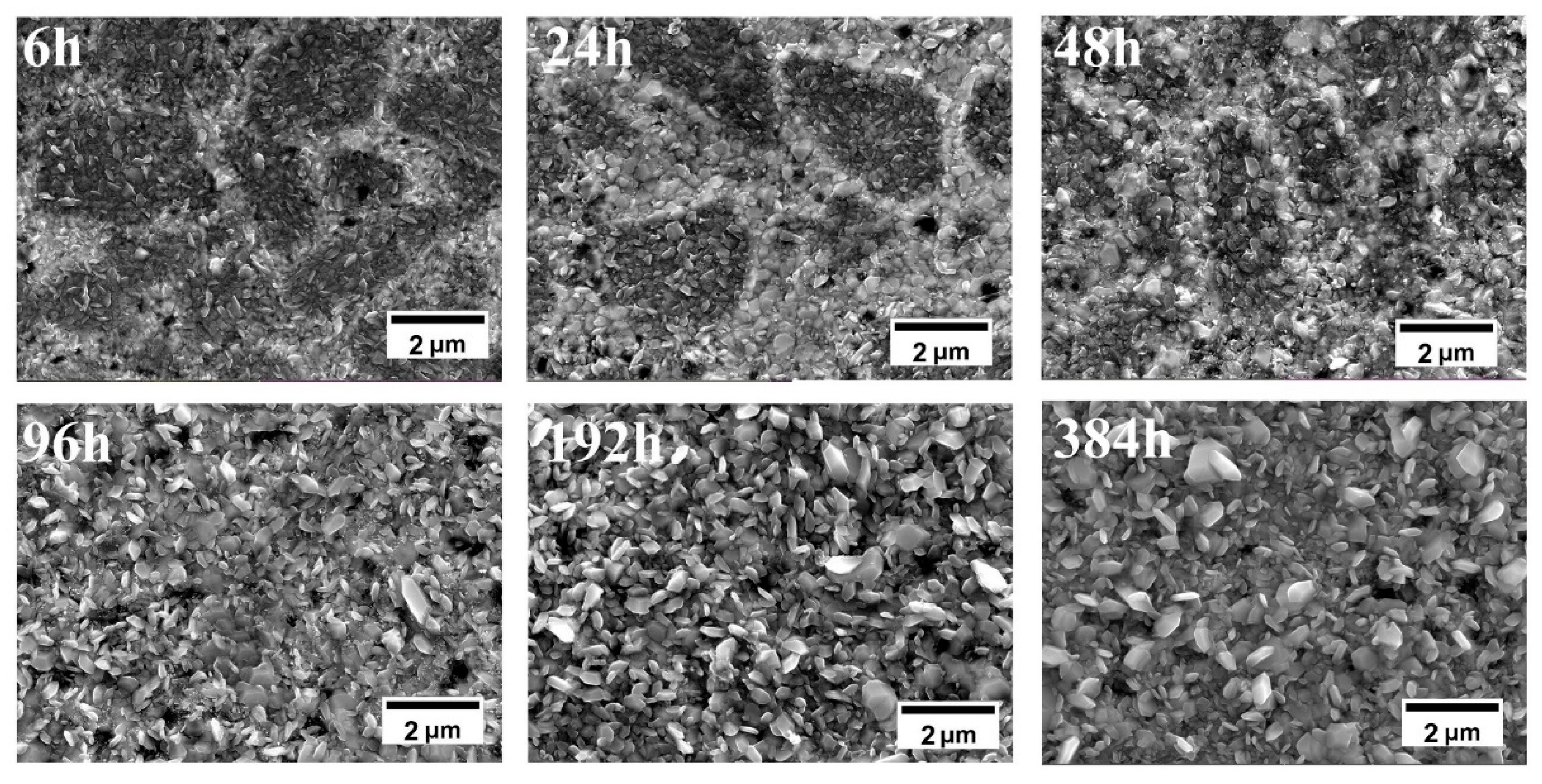 Coatings 10 01090 g005